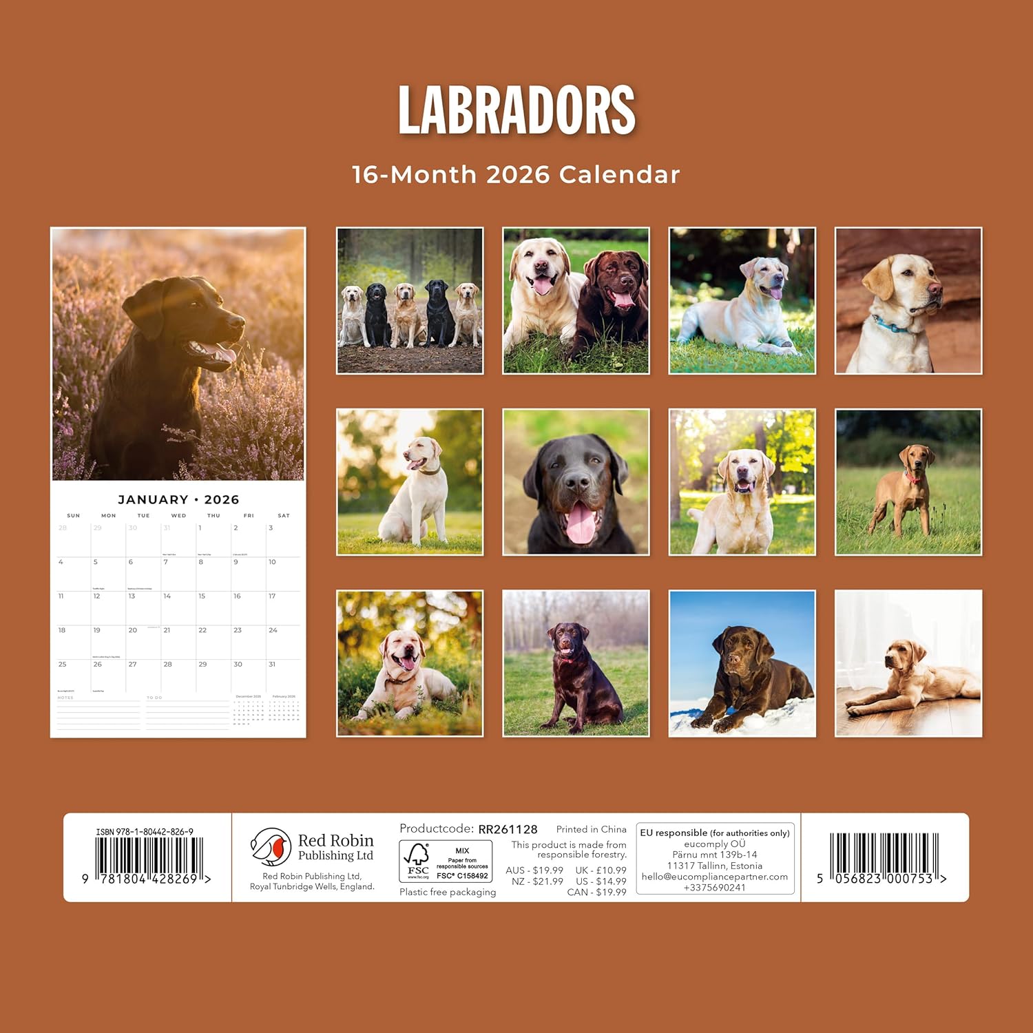 Red Robin 2026 Labradors Monthly Wall Calendar | 12" x 24" Open | Premium Thick & Sturdy Paper | Hangable 12 Month Calendar | Lined Notes & To Do Area | Vivid Images | Plastic Free