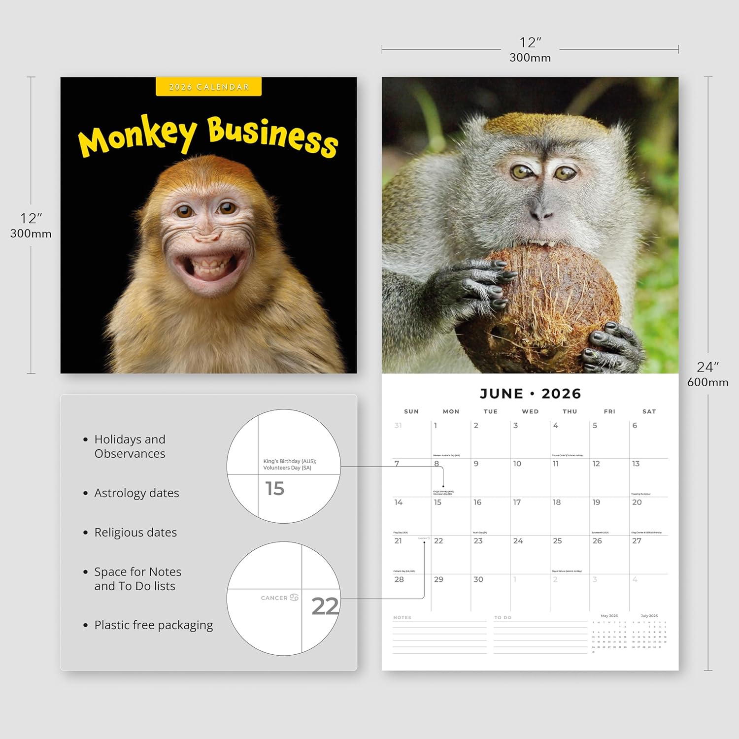 Red Robin 2026 Monkey Business Monthly Wall Calendar | 12" x 24" Open | Premium Thick & Sturdy Paper | Hangable 12 Month Calendar | Lined Notes & To Do Area | Vivid Images | Plastic Free