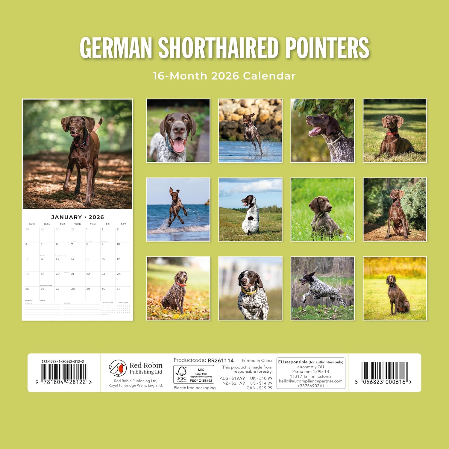 Red Robin 2026 German Shorthaired Pointers Monthly Wall Calendar | 12" x 24" Open | Premium Thick & Sturdy Paper | Hangable 12 Month Calendar | Lined Notes & To Do Area | Vivid Images | Plastic Free