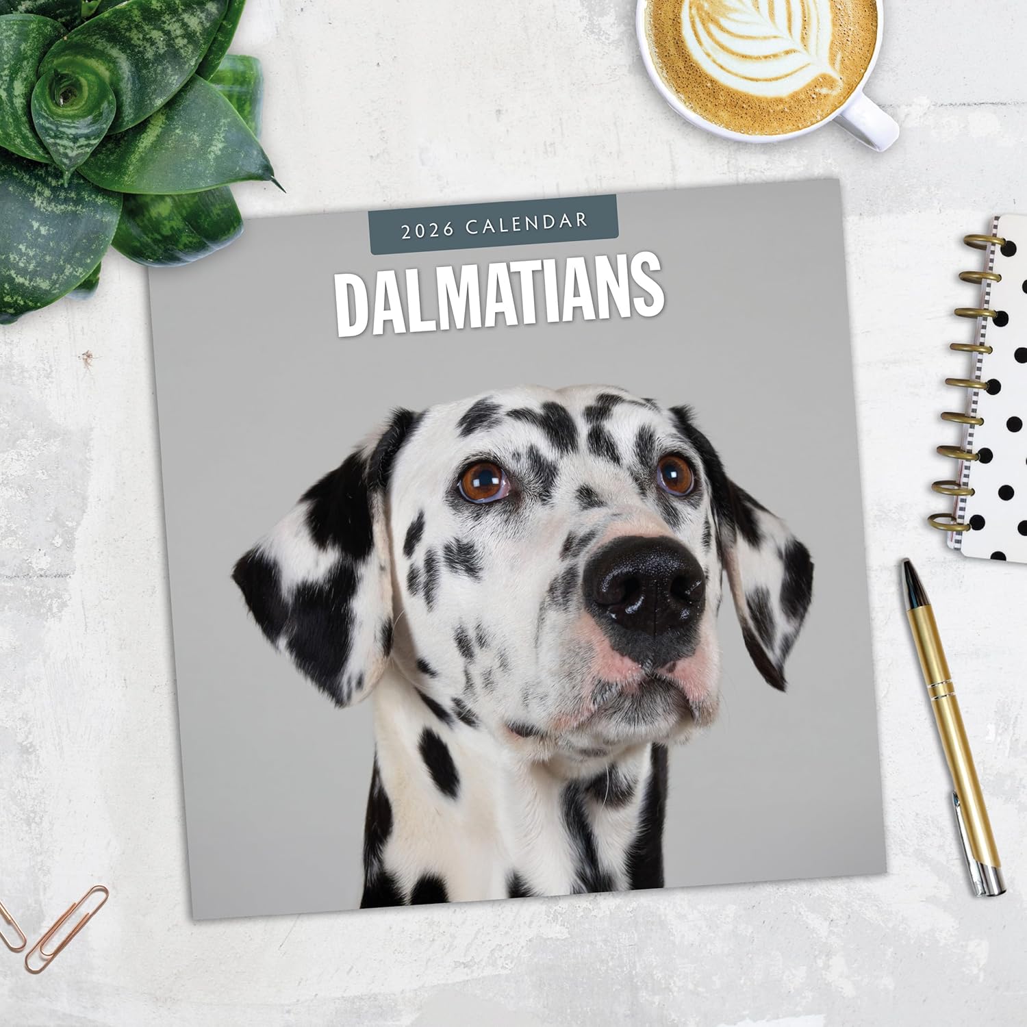 Red Robin 2026 Dalmatians Monthly Wall Calendar | 12" x 24" Open | Premium Thick & Sturdy Paper | Hangable 12 Month Calendar | Lined Notes & To Do Area | Vivid Images | Plastic Free