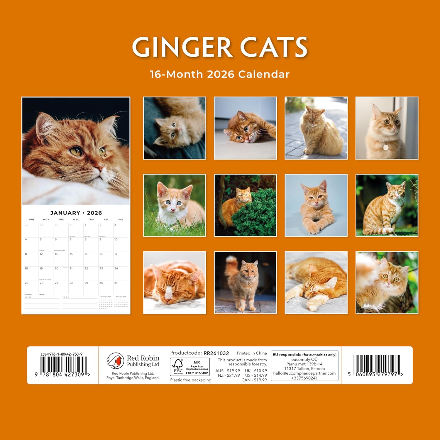 Red Robin 2026 Ginger Cats Monthly Wall Calendar | 12" x 24" Open | Premium Thick & Sturdy Paper | Hangable 12 Month Calendar | Lined Notes & To Do Area | Vivid Images | Plastic Free
