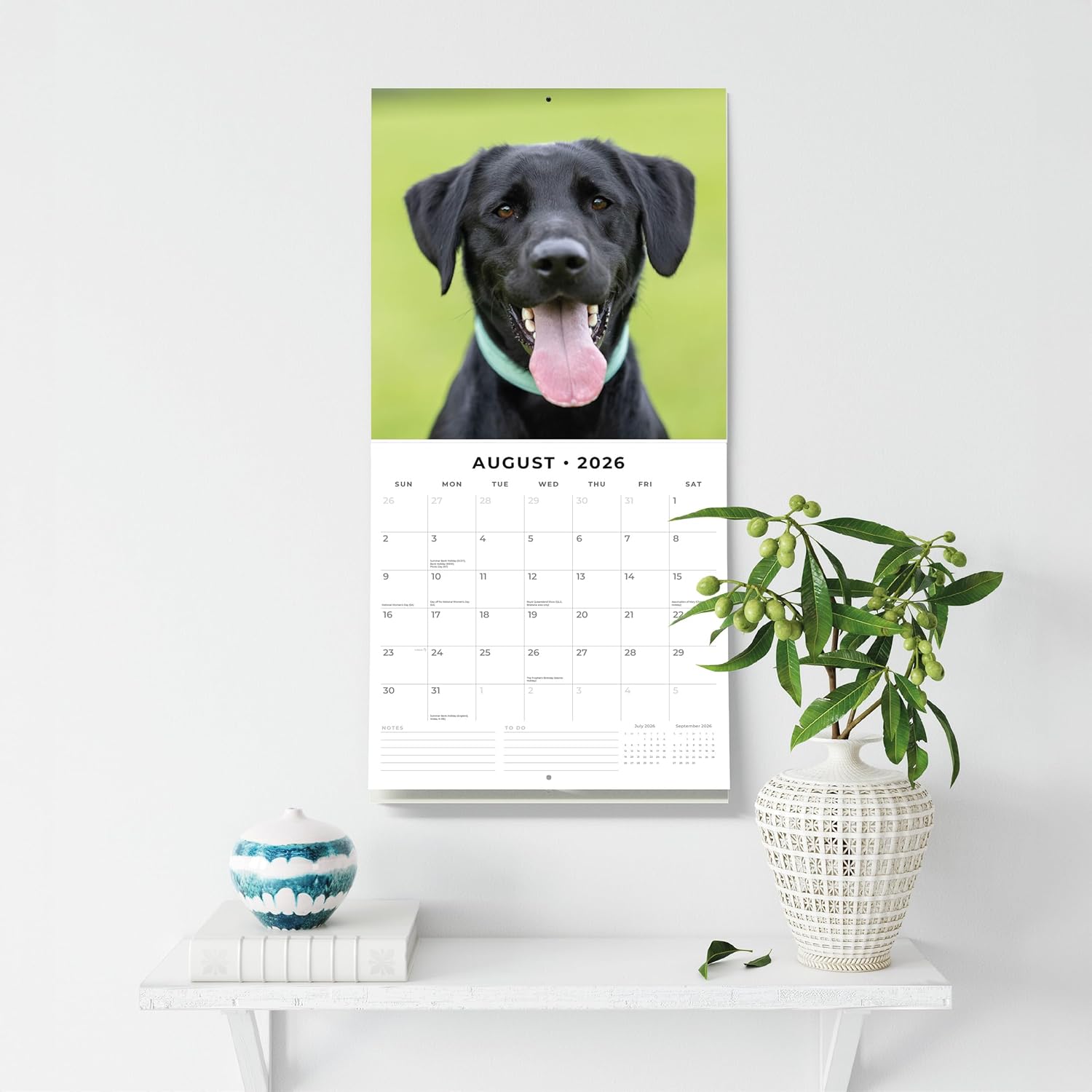 Red Robin 2026 Labrador Retrievers Monthly Wall Calendar | 12" x 24" Open | Premium Thick & Sturdy Paper | Hangable 12 Month Calendar | Lined Notes & To Do Area | Vivid Images | Plastic Free