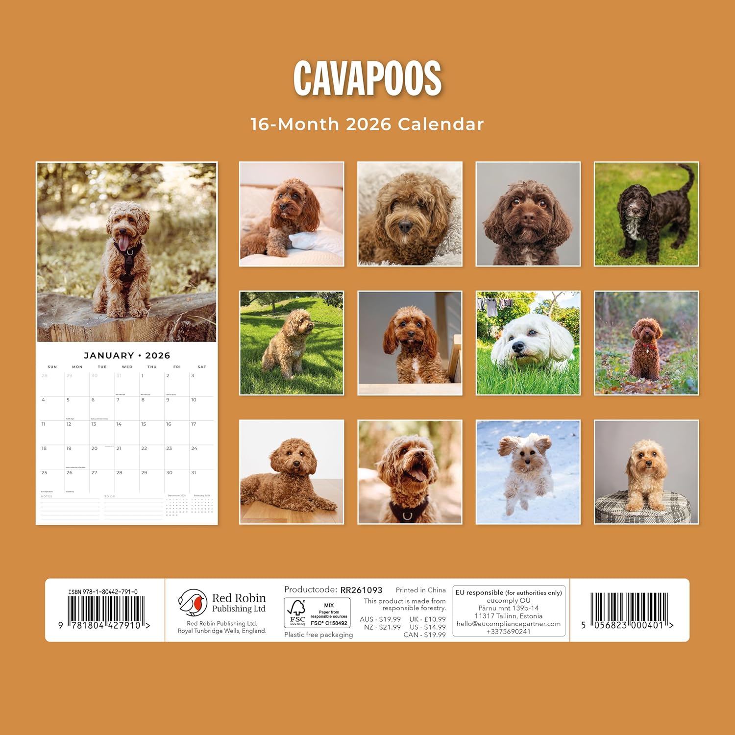Red Robin 2026 Cavapoos Monthly Wall Calendar | 12" x 24" Open | Premium Thick & Sturdy Paper | Hangable 12 Month Calendar | Lined Notes & To Do Area | Vivid Images | Plastic Free
