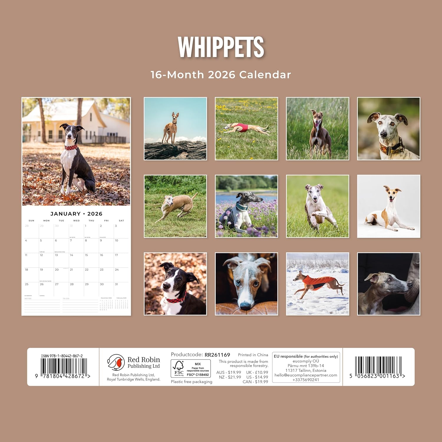 Red Robin 2026 Whippets Monthly Wall Calendar | 12" x 24" Open | Premium Thick & Sturdy Paper | Hangable 12 Month Calendar | Lined Notes & To Do Area | Vivid Images | Plastic Free