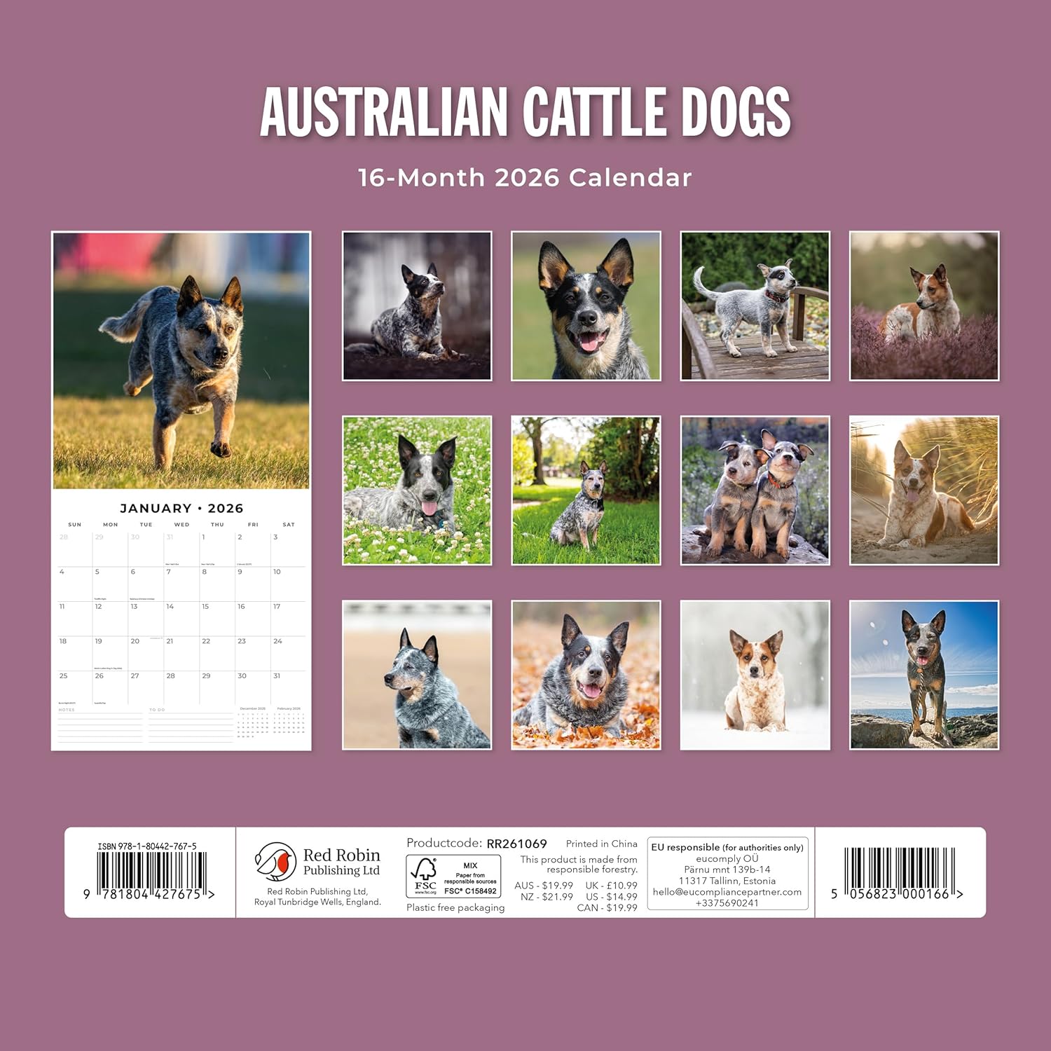 Red Robin 2026 Australian Cattle Dogs Monthly Wall Calendar | 12" x 24" Open | Premium Thick & Sturdy Paper | Hangable 12 Month Calendar | Lined Notes & To Do Area | Vivid Images | Plastic Free