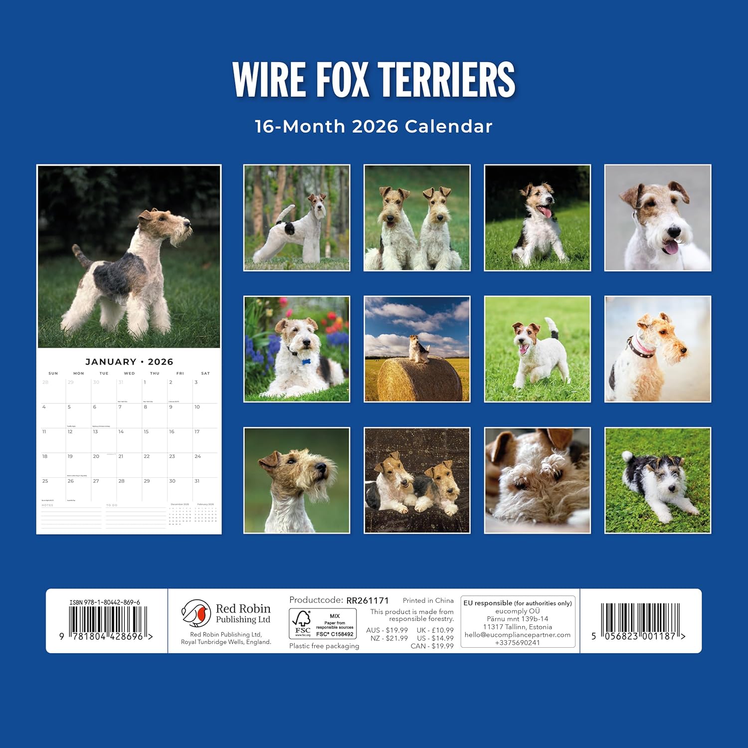 Red Robin 2026 Wire Fox Terriers Monthly Wall Calendar | 12" x 24" Open | Premium Thick & Sturdy Paper | Hangable 12 Month Calendar | Lined Notes & To Do Area | Vivid Images | Plastic Free