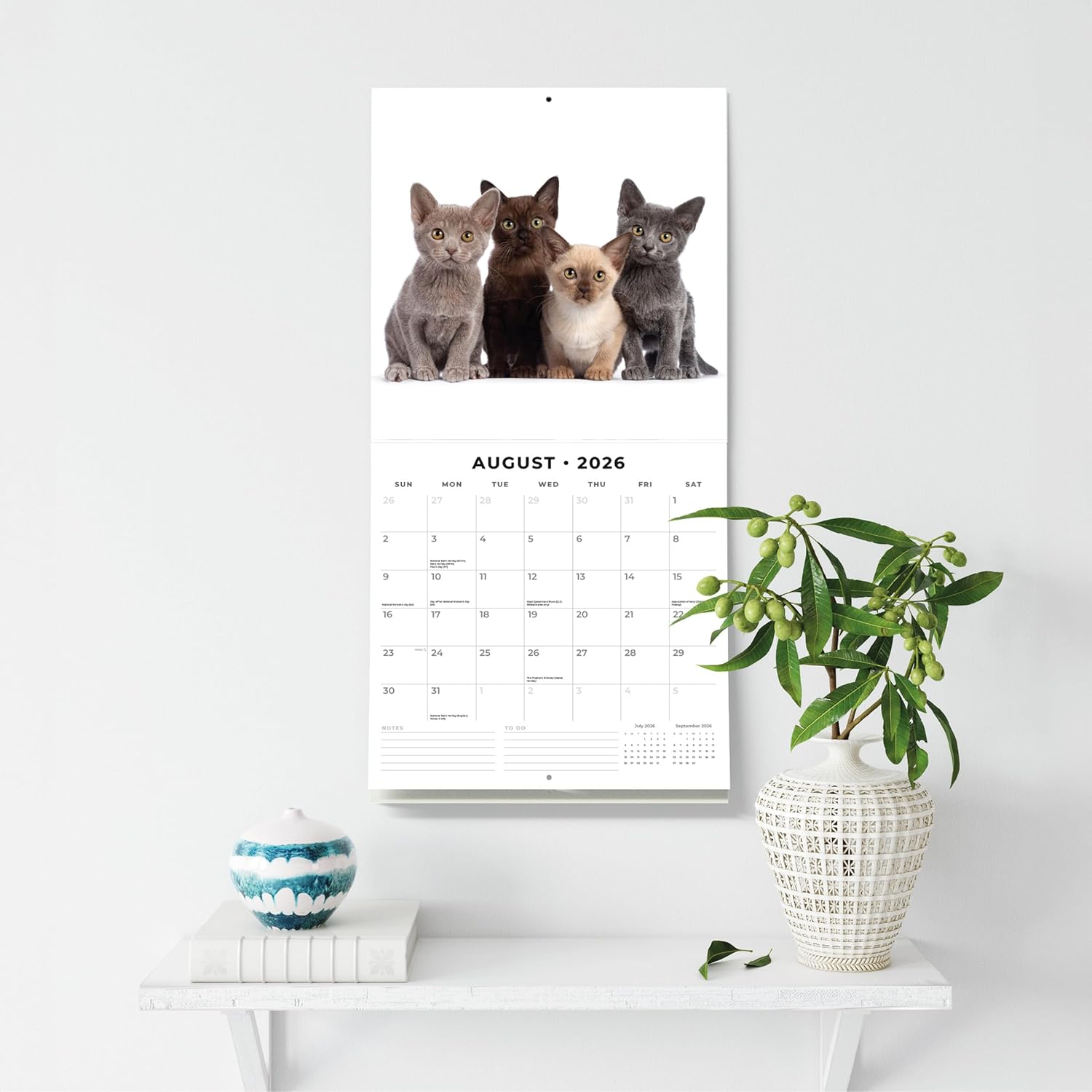 Burmese Cats - 2026 Square Wall Calendar - by Red Robin Publishing