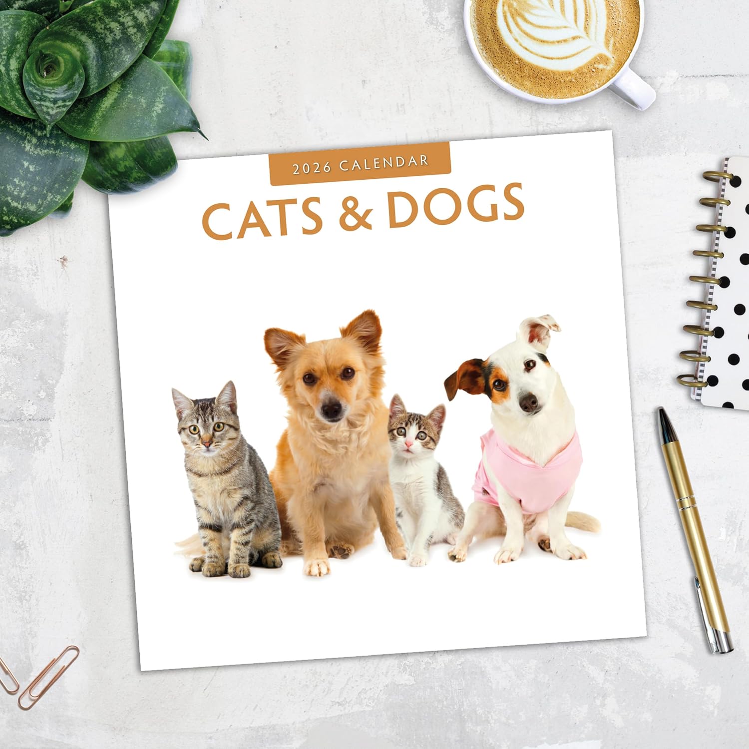 Cats & Dogs - 2026 Square Wall Calendar - by Red Robin Publishing