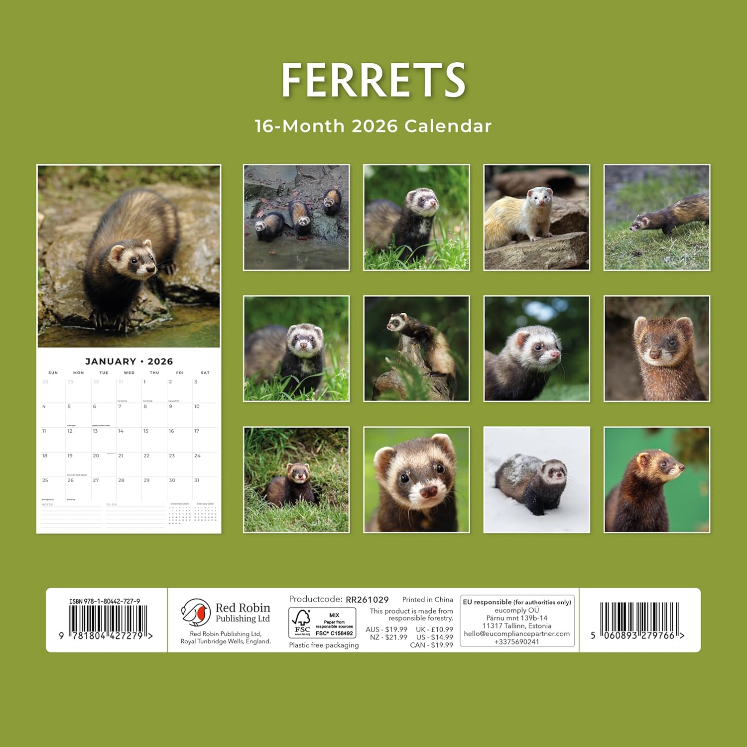 Red Robin 2026 Ferrets Monthly Wall Calendar | 12" x 24" Open | Premium Thick & Sturdy Paper | Hangable 12 Month Calendar | Lined Notes & To Do Area | Vivid Images | Plastic Free