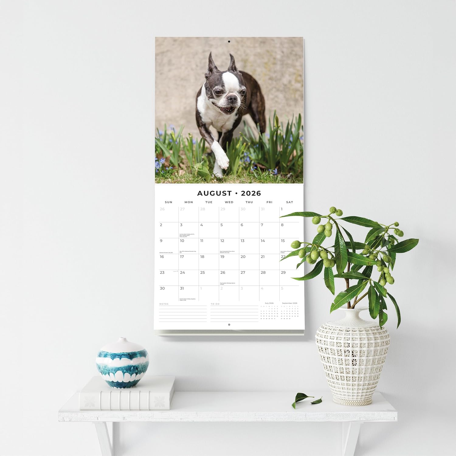 Red Robin 2026 Boston Terriers Monthly Wall Calendar | 12" x 24" Open | Premium Thick & Sturdy Paper | Hangable 12 Month Calendar | Lined Notes & To Do Area | Vivid Images | Plastic Free
