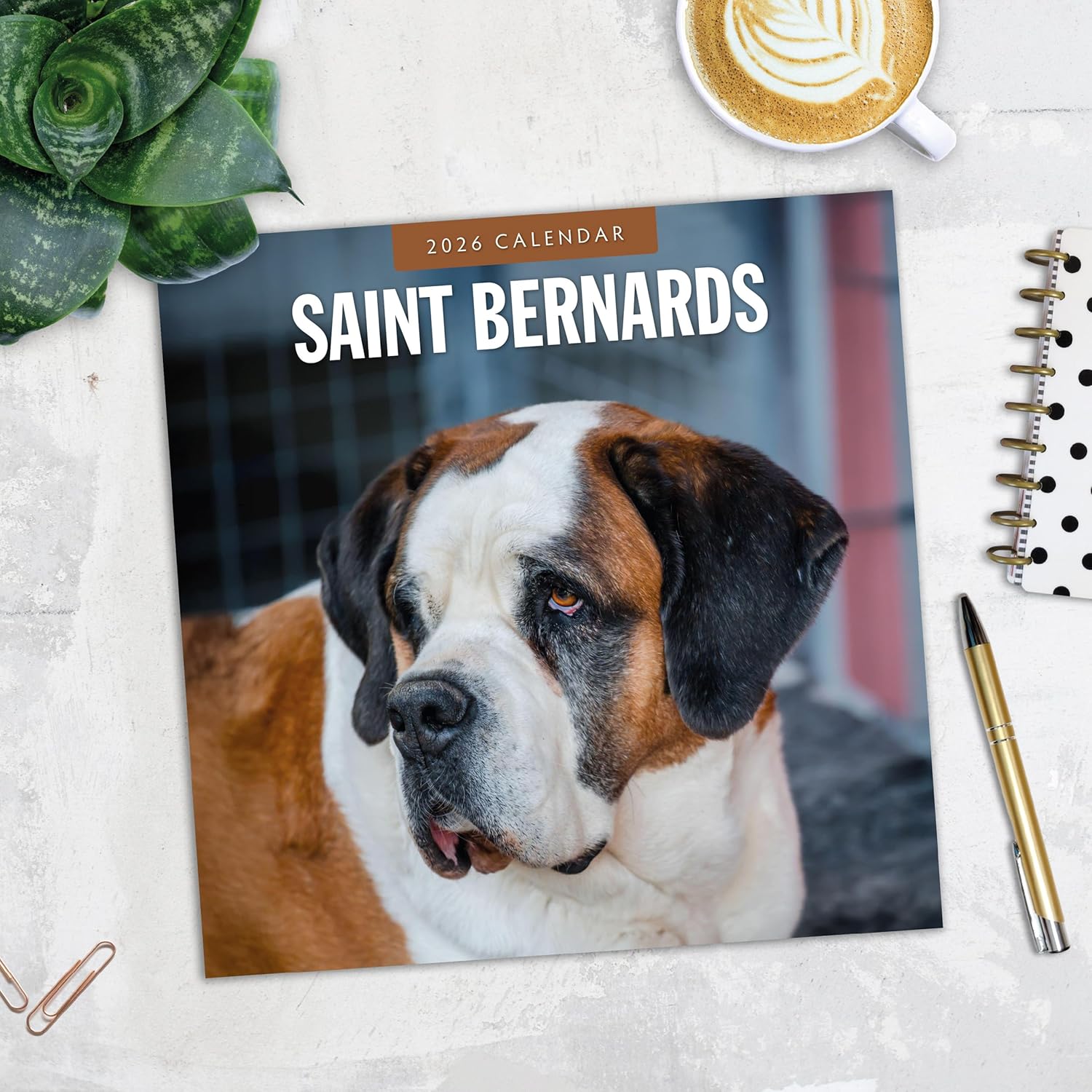 Red Robin 2026 Saint Bernards Monthly Wall Calendar | 12" x 24" Open | Premium Thick & Sturdy Paper | Hangable 12 Month Calendar | Lined Notes & To Do Area | Vivid Images | Plastic Free