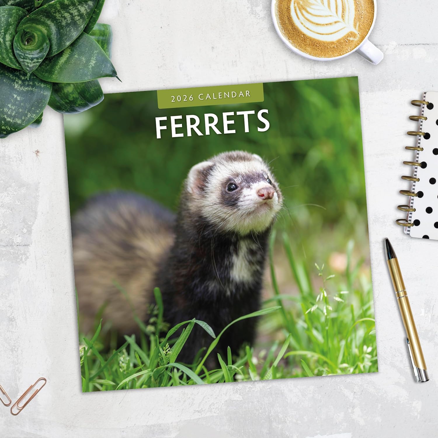 Red Robin 2026 Ferrets Monthly Wall Calendar | 12" x 24" Open | Premium Thick & Sturdy Paper | Hangable 12 Month Calendar | Lined Notes & To Do Area | Vivid Images | Plastic Free