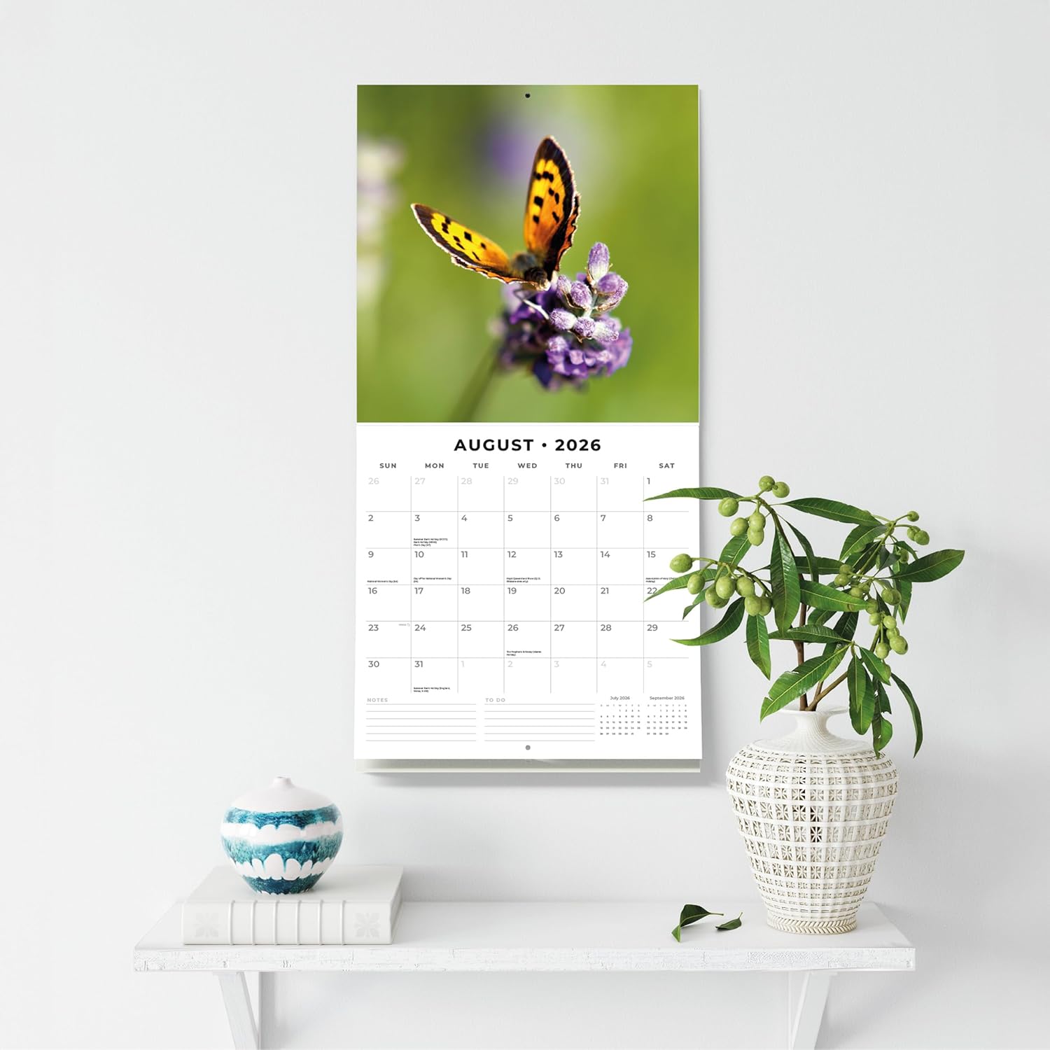 Butterflies - 2026 Square Wall Calendar - by Red Robin Publishing