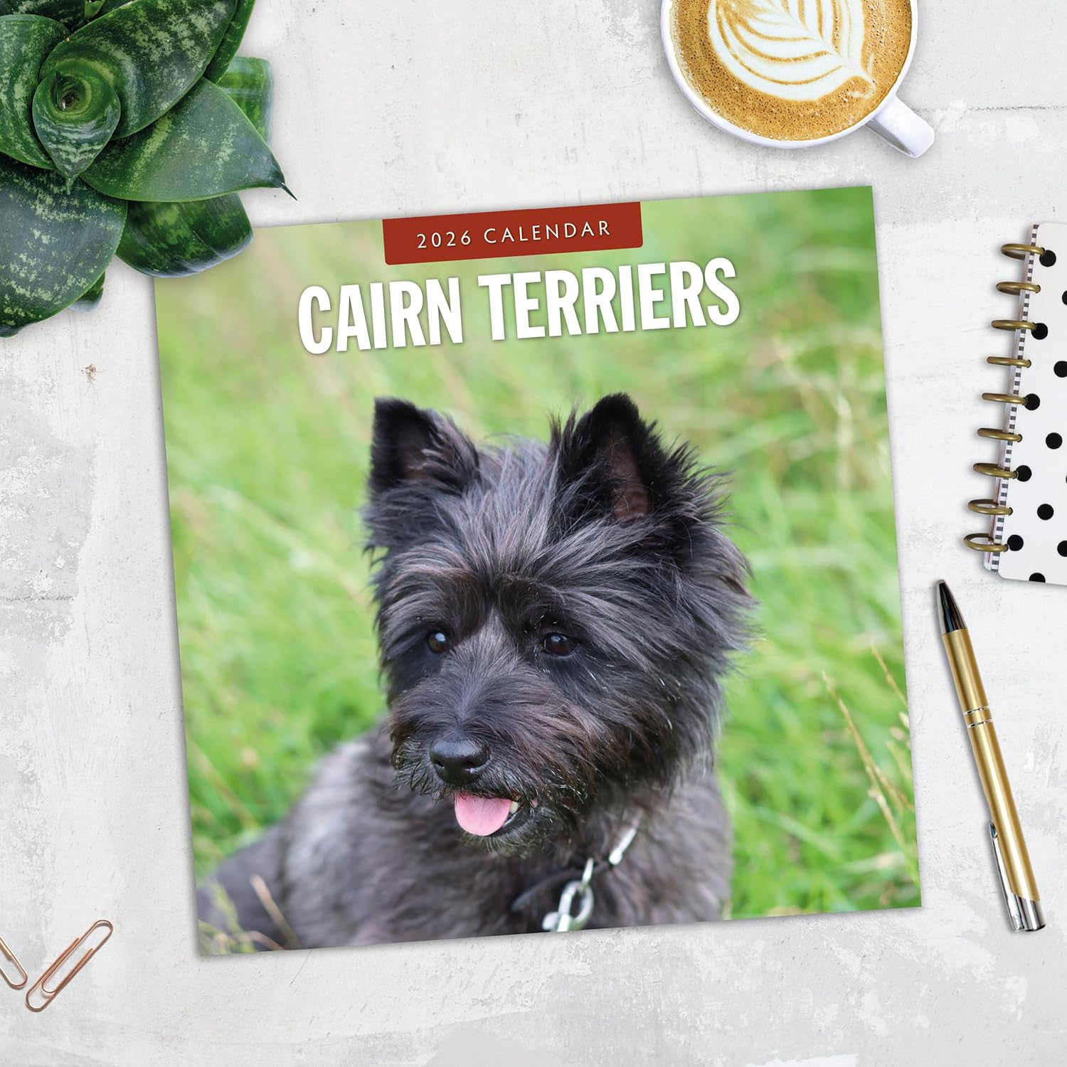 Red Robin 2026 Cairn Terriers Monthly Wall Calendar | 12" x 24" Open | Premium Thick & Sturdy Paper | Hangable 12 Month Calendar | Lined Notes & To Do Area | Vivid Images | Plastic Free