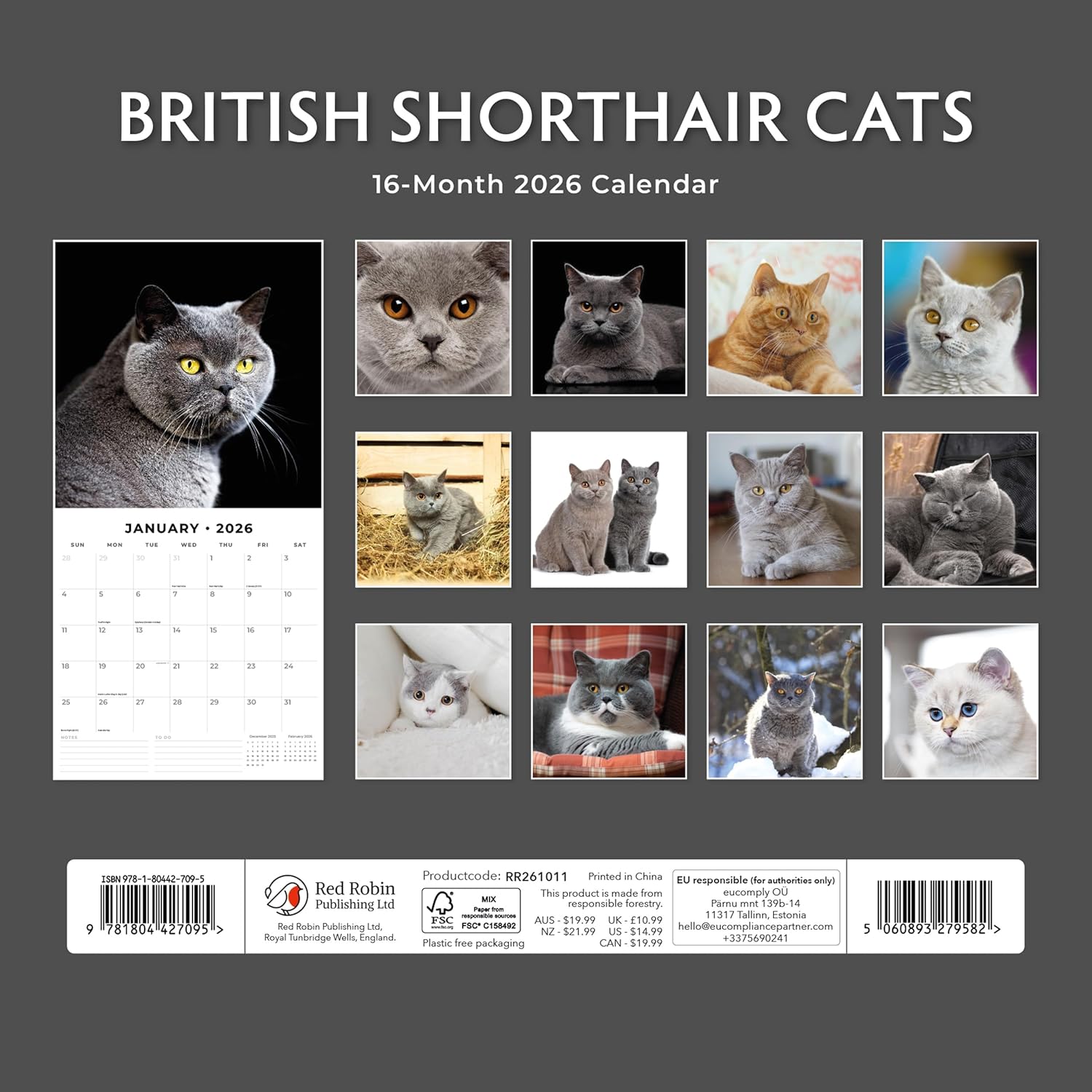 Red Robin 2026 British Shorthair Cats Monthly Wall Calendar | 12" x 24" Open | Premium Thick & Sturdy Paper | Hangable 12 Month Calendar | Lined Notes & To Do Area | Vivid Images | Plastic Free