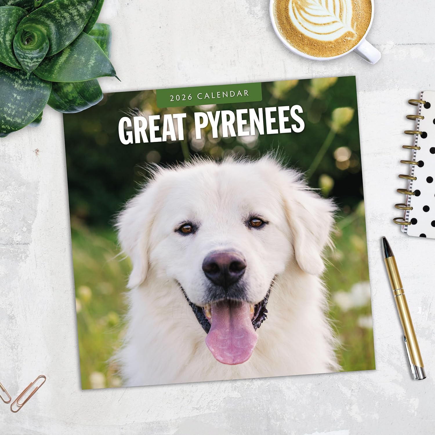 Red Robin 2026 Great Pyrenees Monthly Wall Calendar | 12" x 24" Open | Premium Thick & Sturdy Paper | Hangable 12 Month Calendar | Lined Notes & To Do Area | Vivid Images | Plastic Free