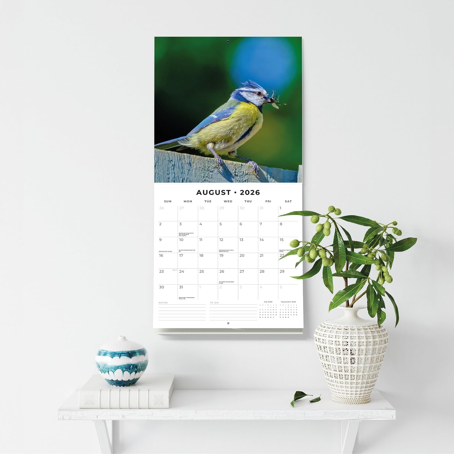 Red Robin 2026 British Garden Birds Monthly Wall Calendar | 12" x 24" Open | Premium Thick & Sturdy Paper | Hangable 12 Month Calendar | Lined Notes & To Do Area | Vivid Images | Plastic Free