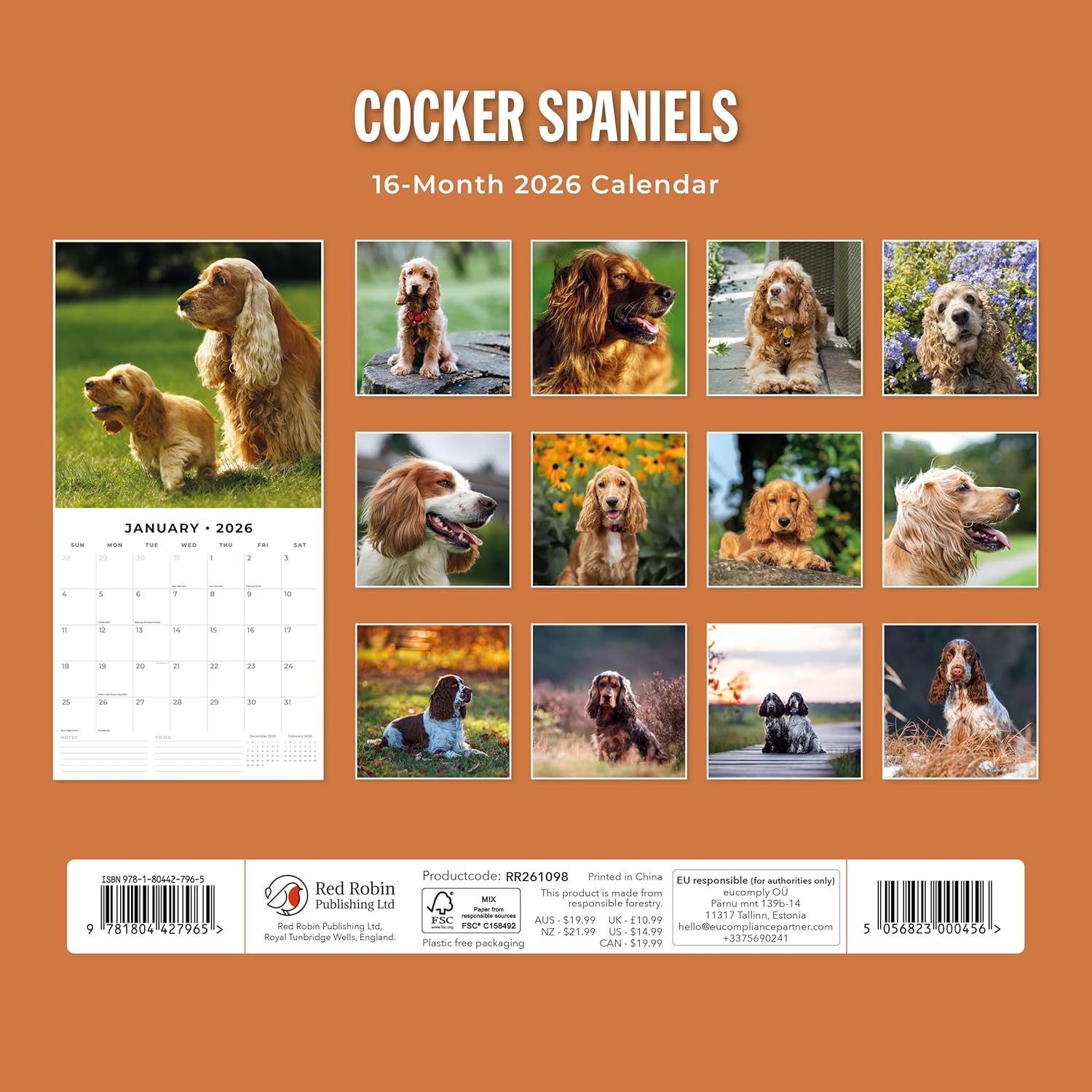 Red Robin 2026 Cocker Spaniels Monthly Wall Calendar | 12" x 24" Open | Premium Thick & Sturdy Paper | Hangable 12 Month Calendar | Lined Notes & To Do Area | Vivid Images | Plastic Free
