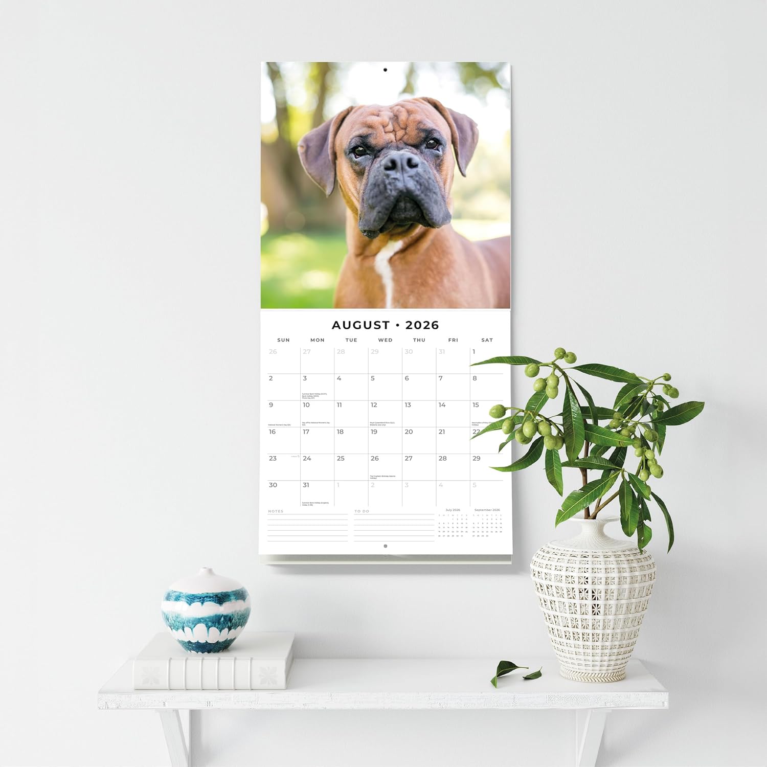 Red Robin 2026 Boxers Monthly Wall Calendar | 12" x 24" Open | Premium Thick & Sturdy Paper | Hangable 12 Month Calendar | Lined Notes & To Do Area | Vivid Images | Plastic Free