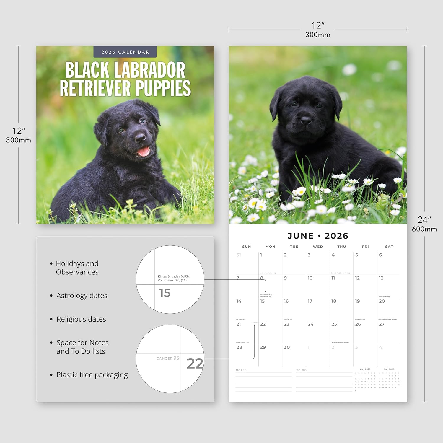 Red Robin 2026 Black Labrador Retriever Puppies Monthly Wall Calendar | 12" x 24" Open | Premium Thick & Sturdy Paper | Hangable 12 Month Calendar | Lined Notes & To Do Area | Plastic Free