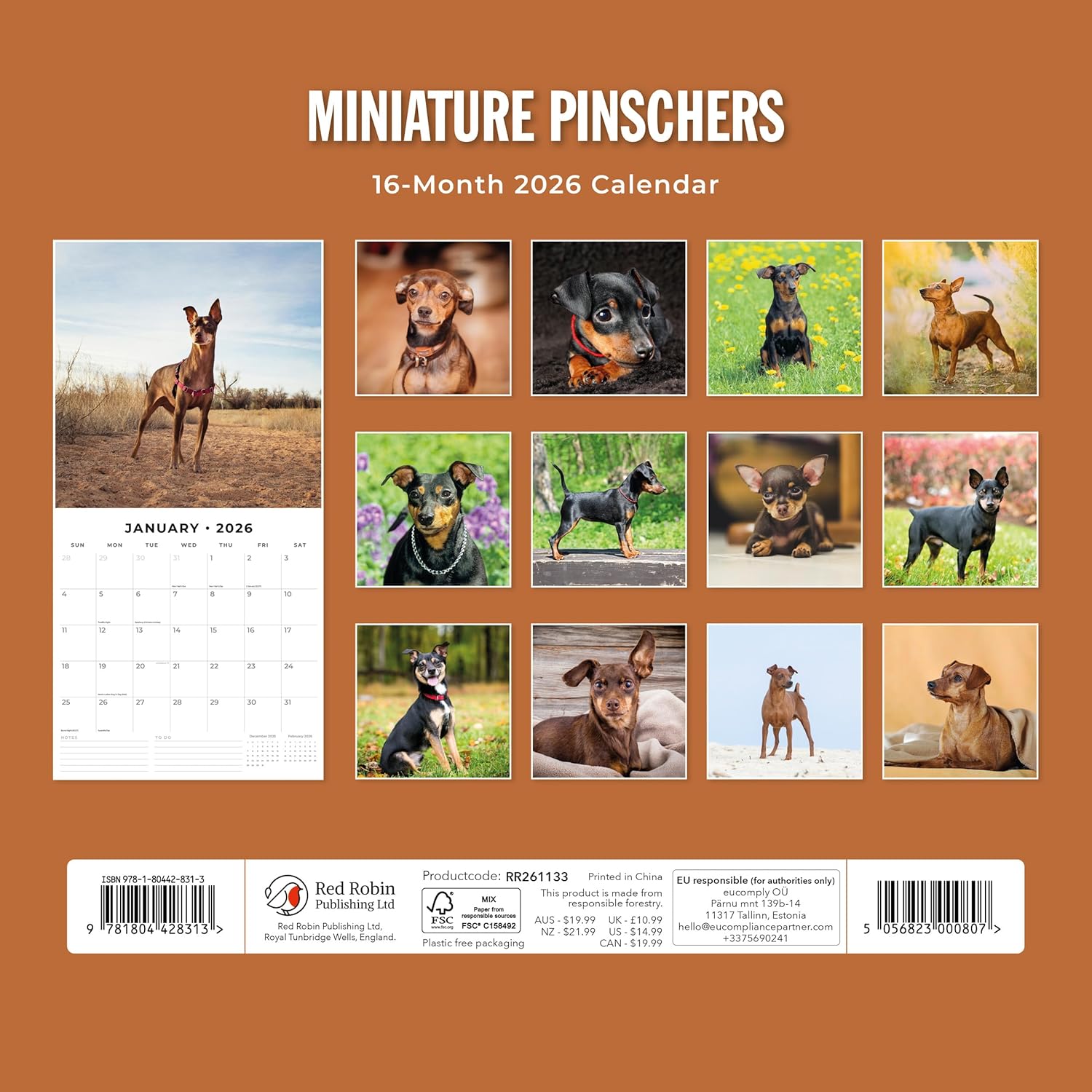 Red Robin 2026 Miniature Pinschers Monthly Wall Calendar | 12" x 24" Open | Premium Thick & Sturdy Paper | Hangable 12 Month Calendar | Lined Notes & To Do Area | Vivid Images | Plastic Free