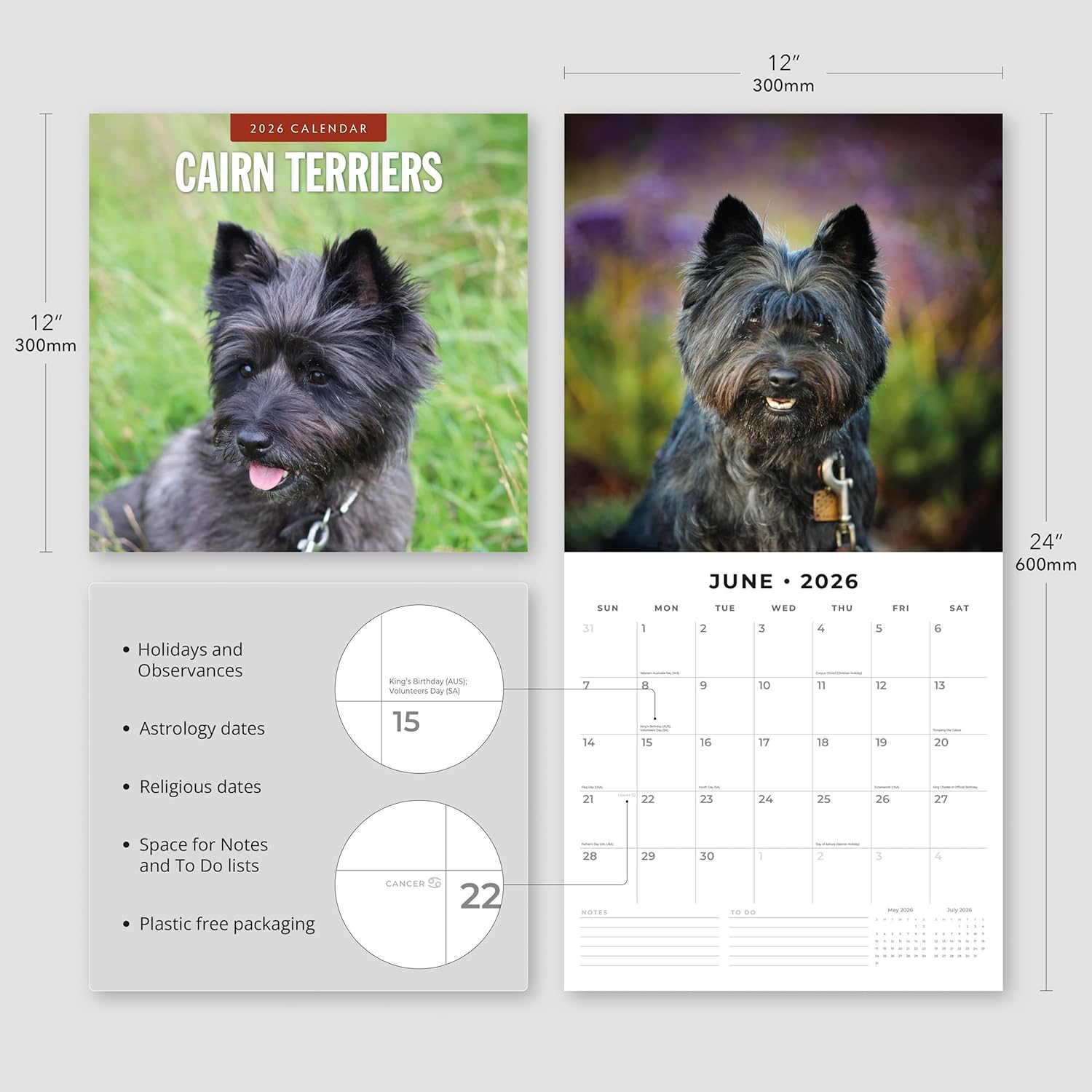 Red Robin 2026 Cairn Terriers Monthly Wall Calendar | 12" x 24" Open | Premium Thick & Sturdy Paper | Hangable 12 Month Calendar | Lined Notes & To Do Area | Vivid Images | Plastic Free