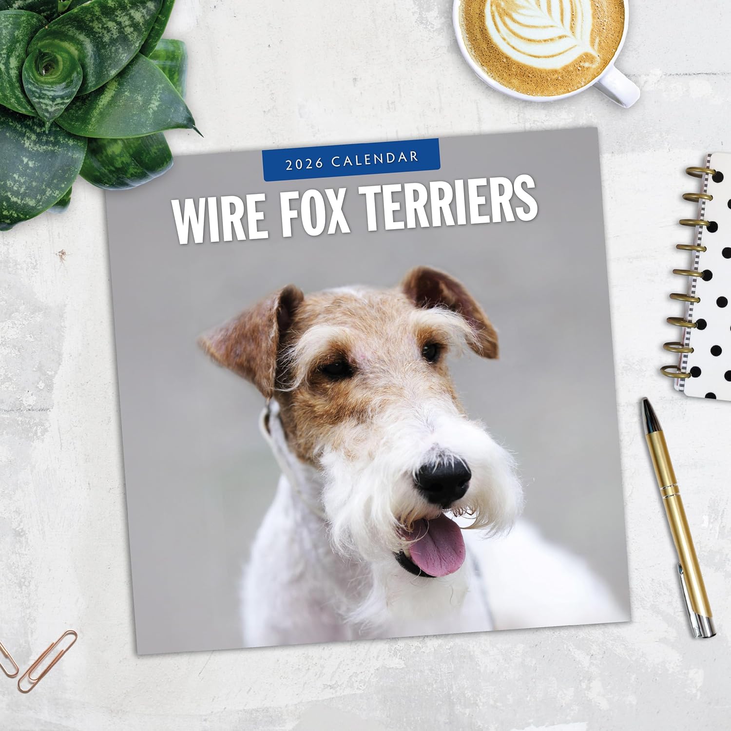 Red Robin 2026 Wire Fox Terriers Monthly Wall Calendar | 12" x 24" Open | Premium Thick & Sturdy Paper | Hangable 12 Month Calendar | Lined Notes & To Do Area | Vivid Images | Plastic Free