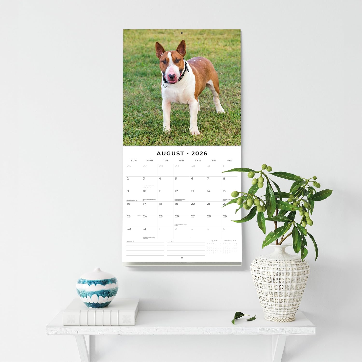 Red Robin 2026 Bull Terriers Monthly Wall Calendar | 12" x 24" Open | Premium Thick & Sturdy Paper | Hangable 12 Month Calendar | Lined Notes & To Do Area | Vivid Images | Plastic Free