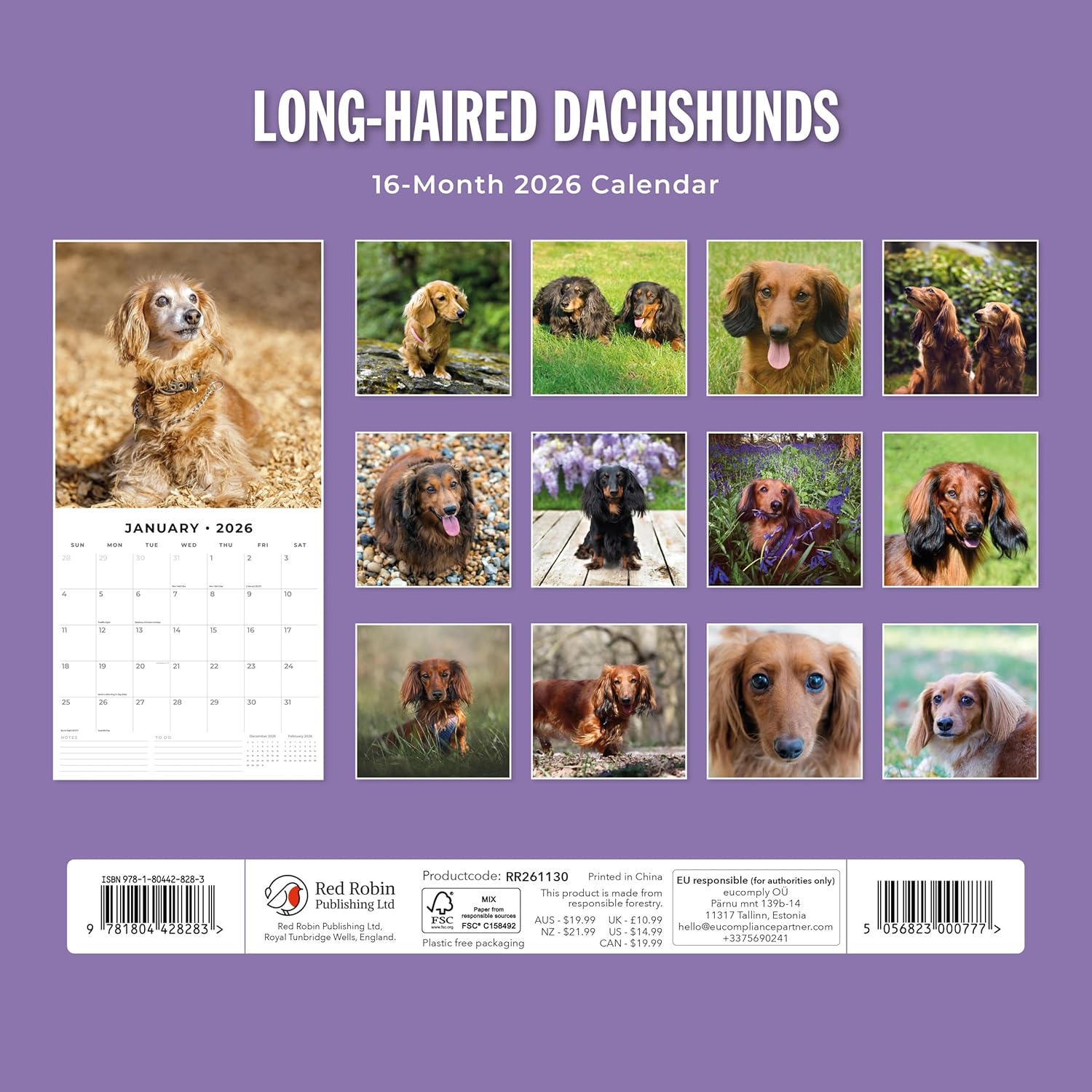 Red Robin 2026 Long-haired Dachshunds Monthly Wall Calendar | 12" x 24" Open | Premium Thick & Sturdy Paper | Hangable 12 Month Calendar | Lined Notes & To Do Area | Vivid Images | Plastic Free