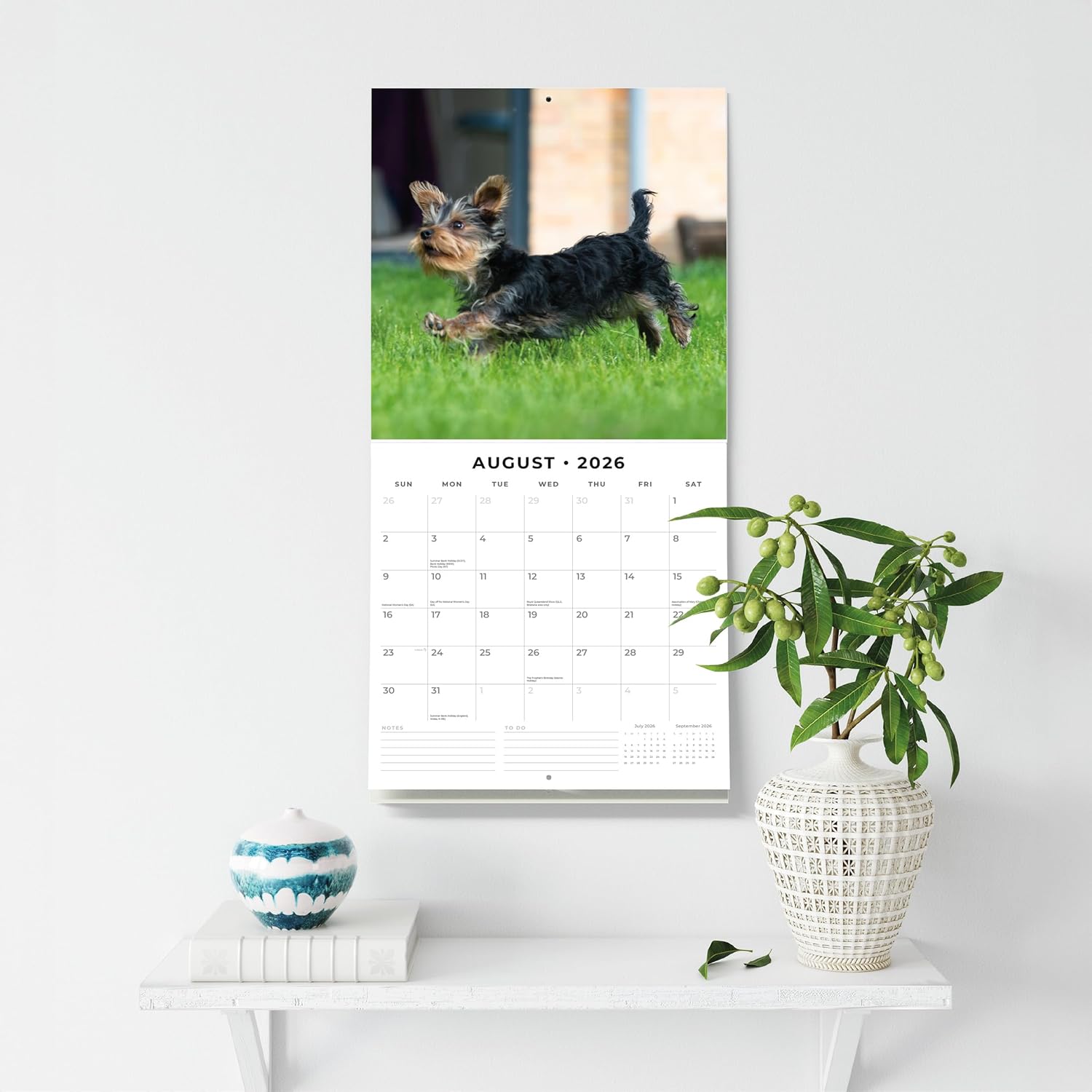 Red Robin 2026 Yorkshire Terrier Puppies Monthly Wall Calendar | 12" x 24" Open | Premium Thick & Sturdy Paper | Hangable 12 Month Calendar | Lined Notes & To Do Area | Vivid Images | Plastic Free