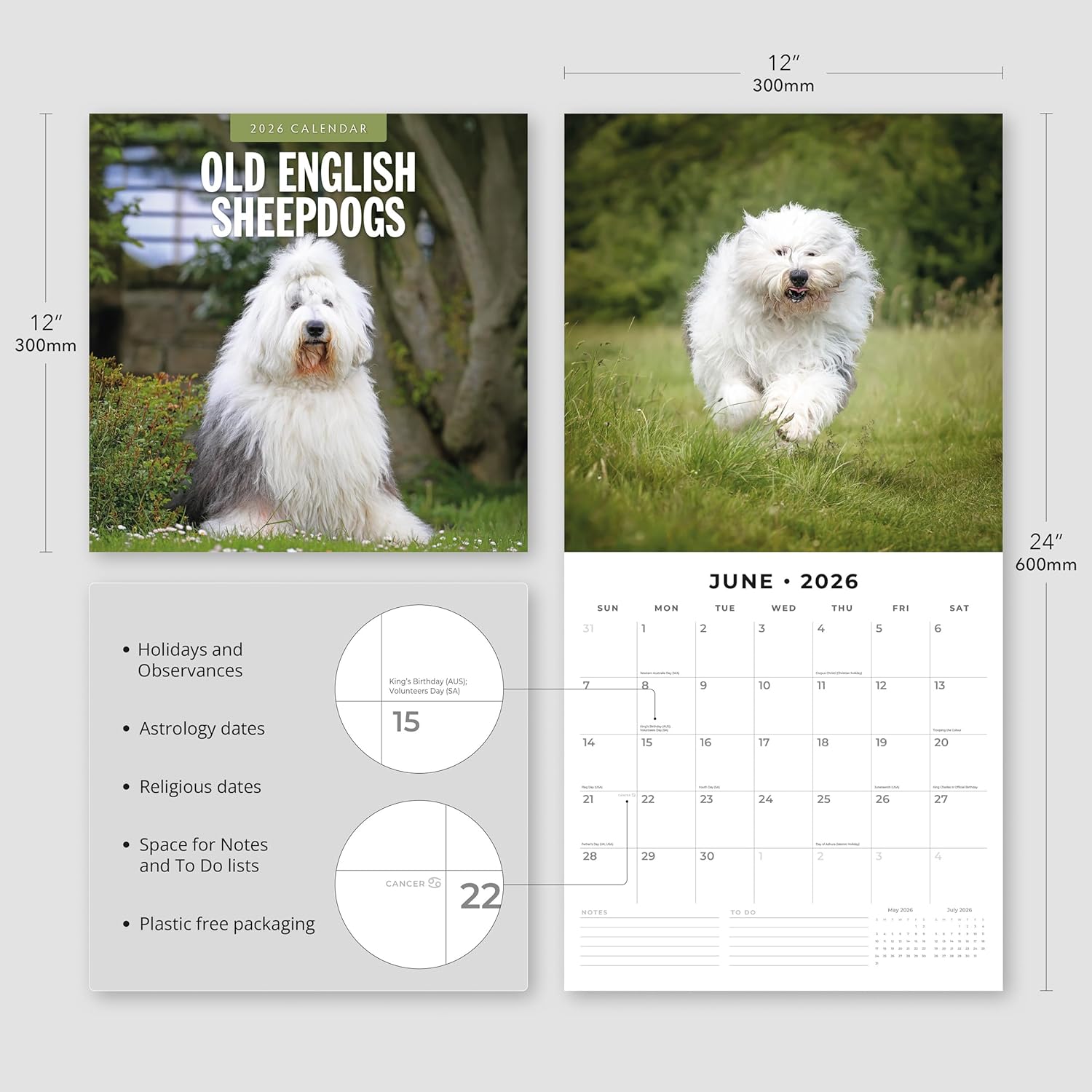 Red Robin 2026 Old English Sheepdogs Monthly Wall Calendar | 12" x 24" Open | Premium Thick & Sturdy Paper | Hangable 12 Month Calendar | Lined Notes & To Do Area | Vivid Images | Plastic Free