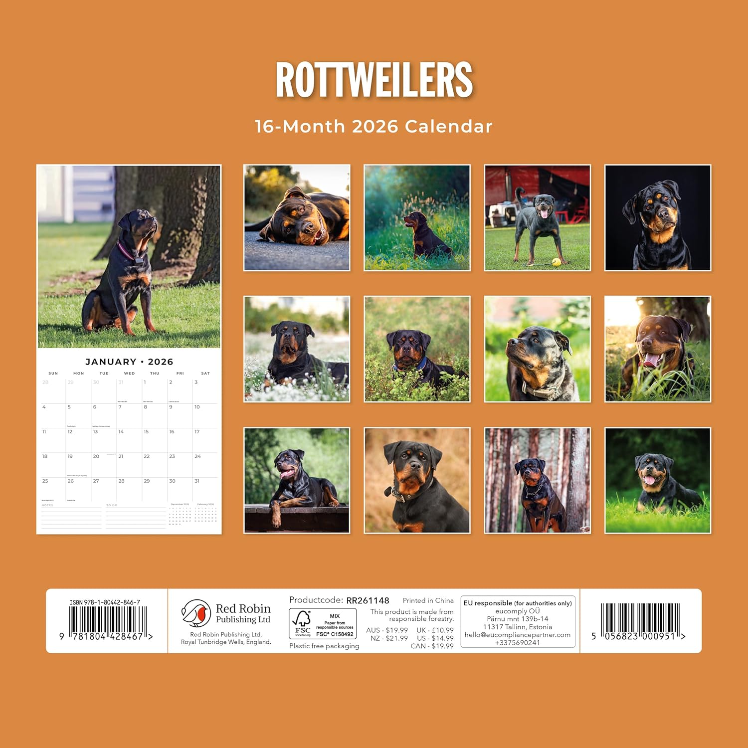 Red Robin 2026 Rottweilers Monthly Wall Calendar | 12" x 24" Open | Premium Thick & Sturdy Paper | Hangable 12 Month Calendar | Lined Notes & To Do Area | Vivid Images | Plastic Free
