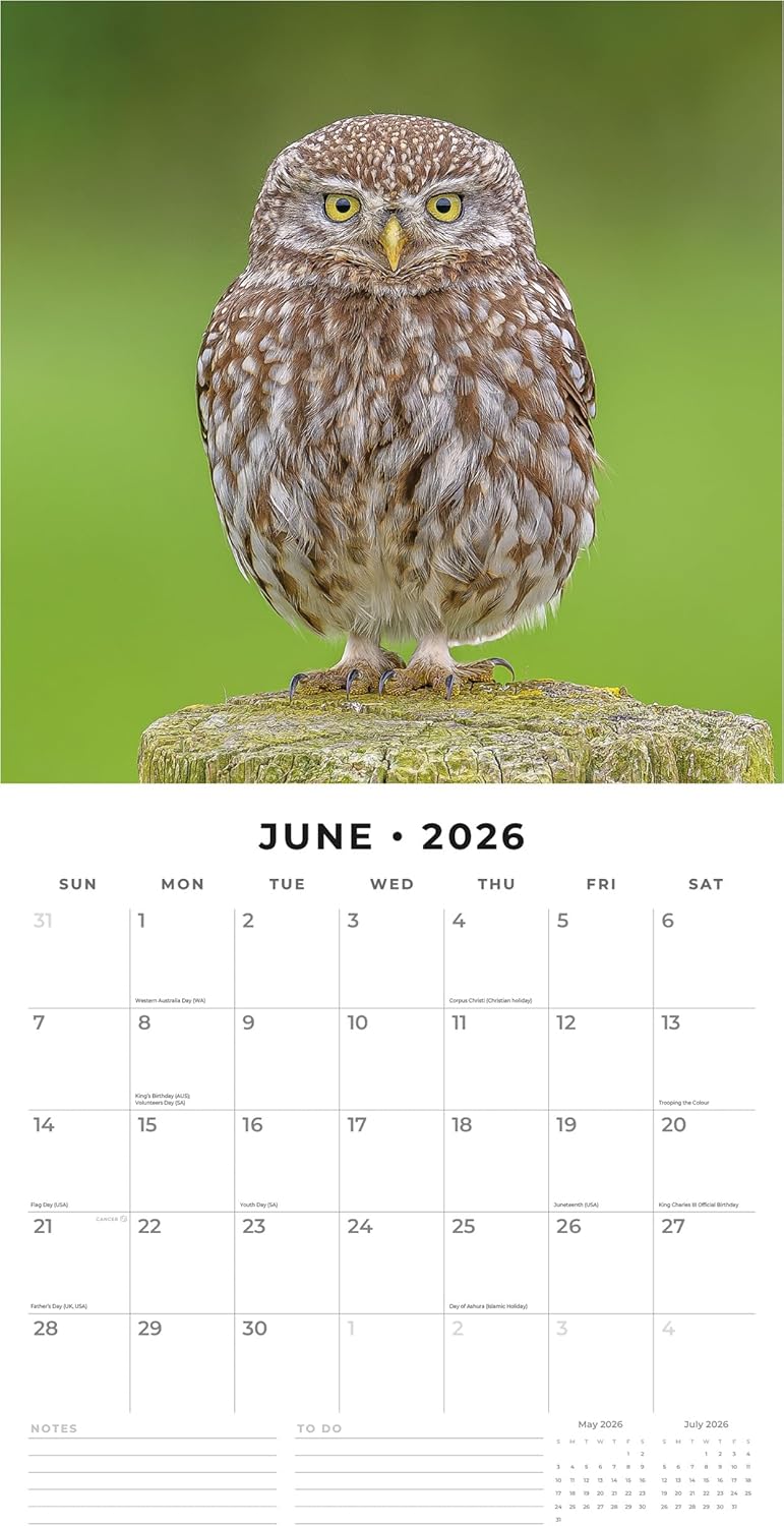 Birds - 2026 Square Wall Calendar - by Red Robin Publishing