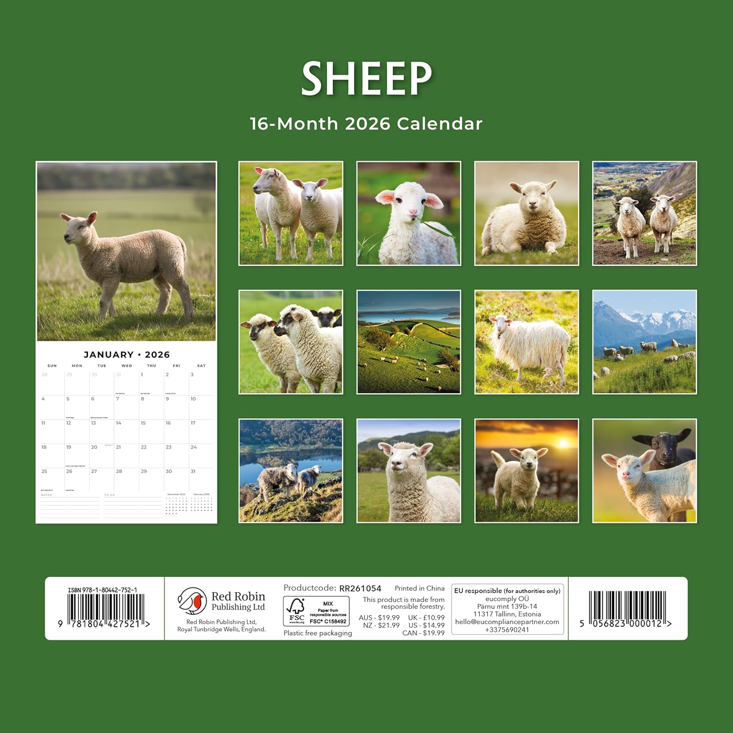 Red Robin 2026 Sheep Monthly Wall Calendar | 12" x 24" Open | Premium Thick & Sturdy Paper | Hangable 12 Month Calendar | Lined Notes & To Do Area | Vivid Images | Plastic Free