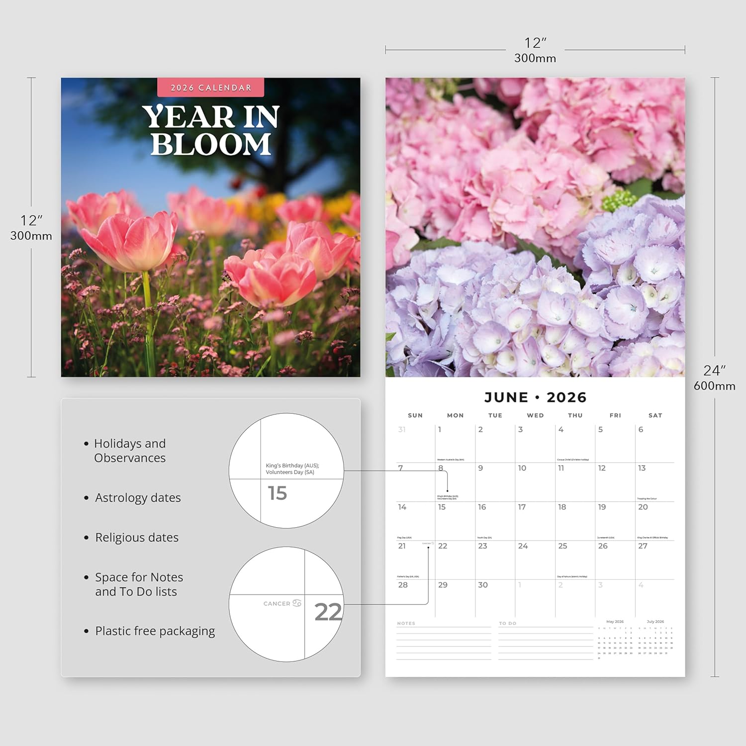 Red Robin 2026 Year in Bloom Monthly Wall Calendar | 12" x 24" Open | Premium Thick & Sturdy Paper | Hangable 12 Month Calendar | Lined Notes & To Do Area | Vivid Images | Plastic Free