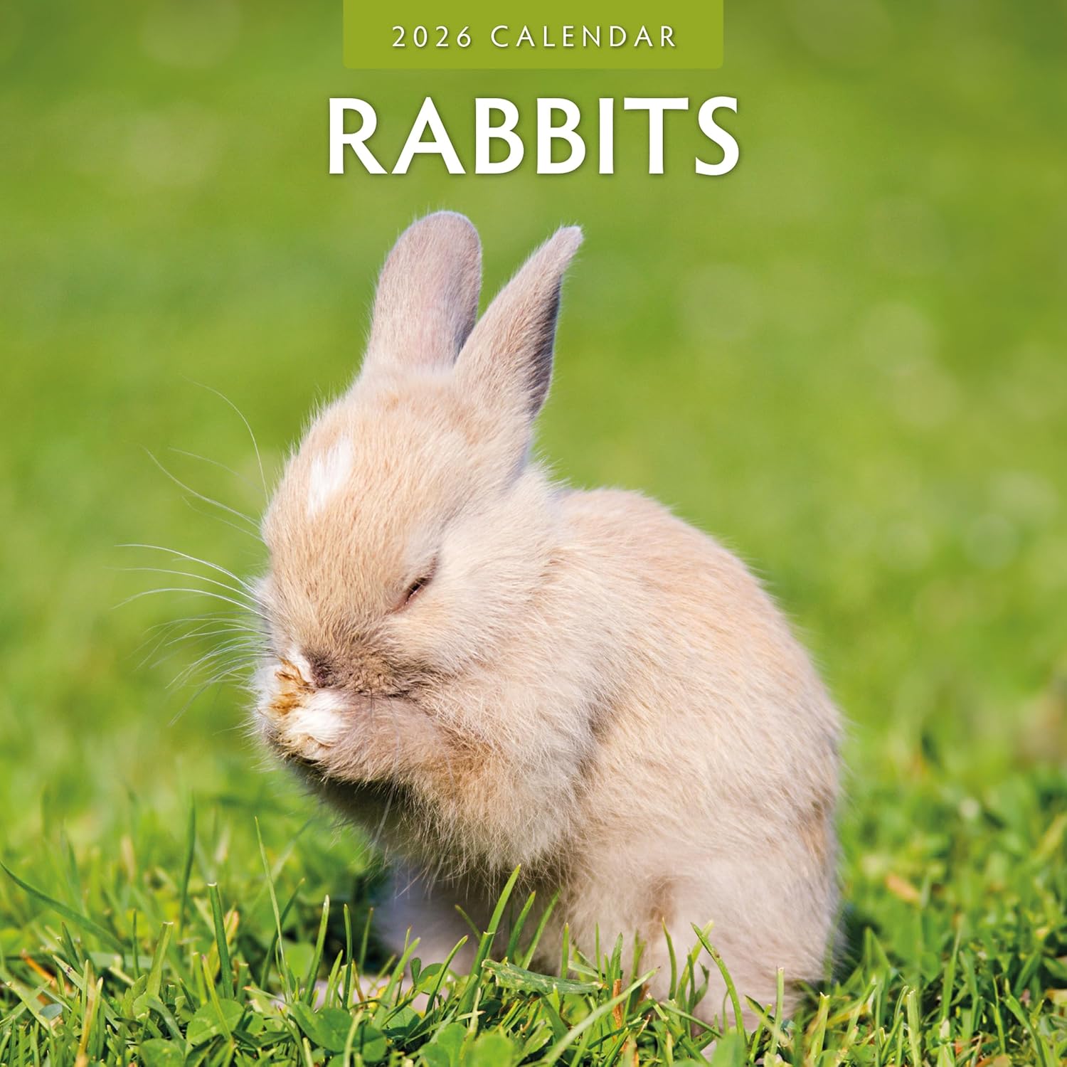 Red Robin 2026 Rabbits Monthly Wall Calendar | 12" x 24" Open | Premium Thick & Sturdy Paper | Hangable 12 Month Calendar | Lined Notes & To Do Area | Vivid Images | Plastic Free