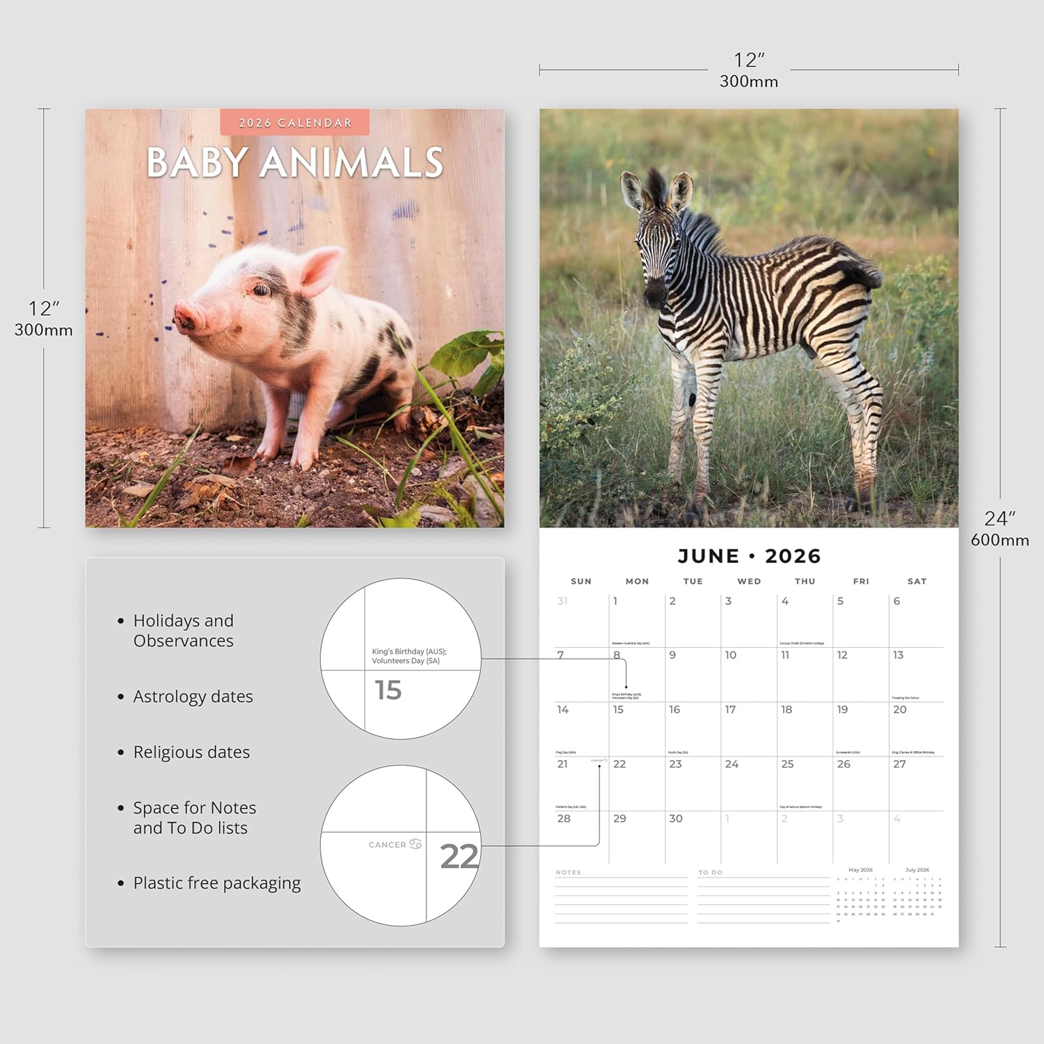 Baby Animals - 2026 Square Wall Calendar - by Red Robin Publishing