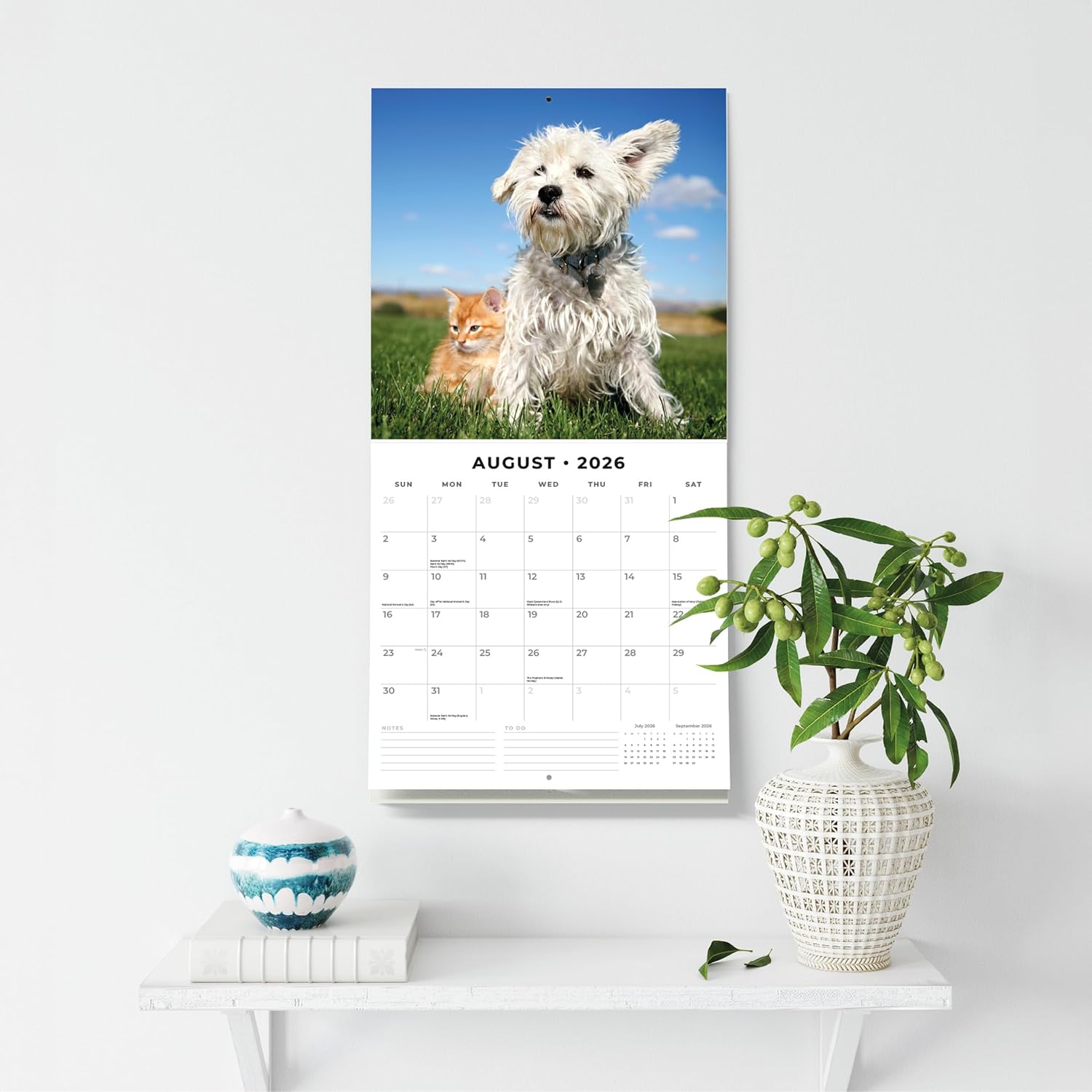 Cats & Dogs - 2026 Square Wall Calendar - by Red Robin Publishing
