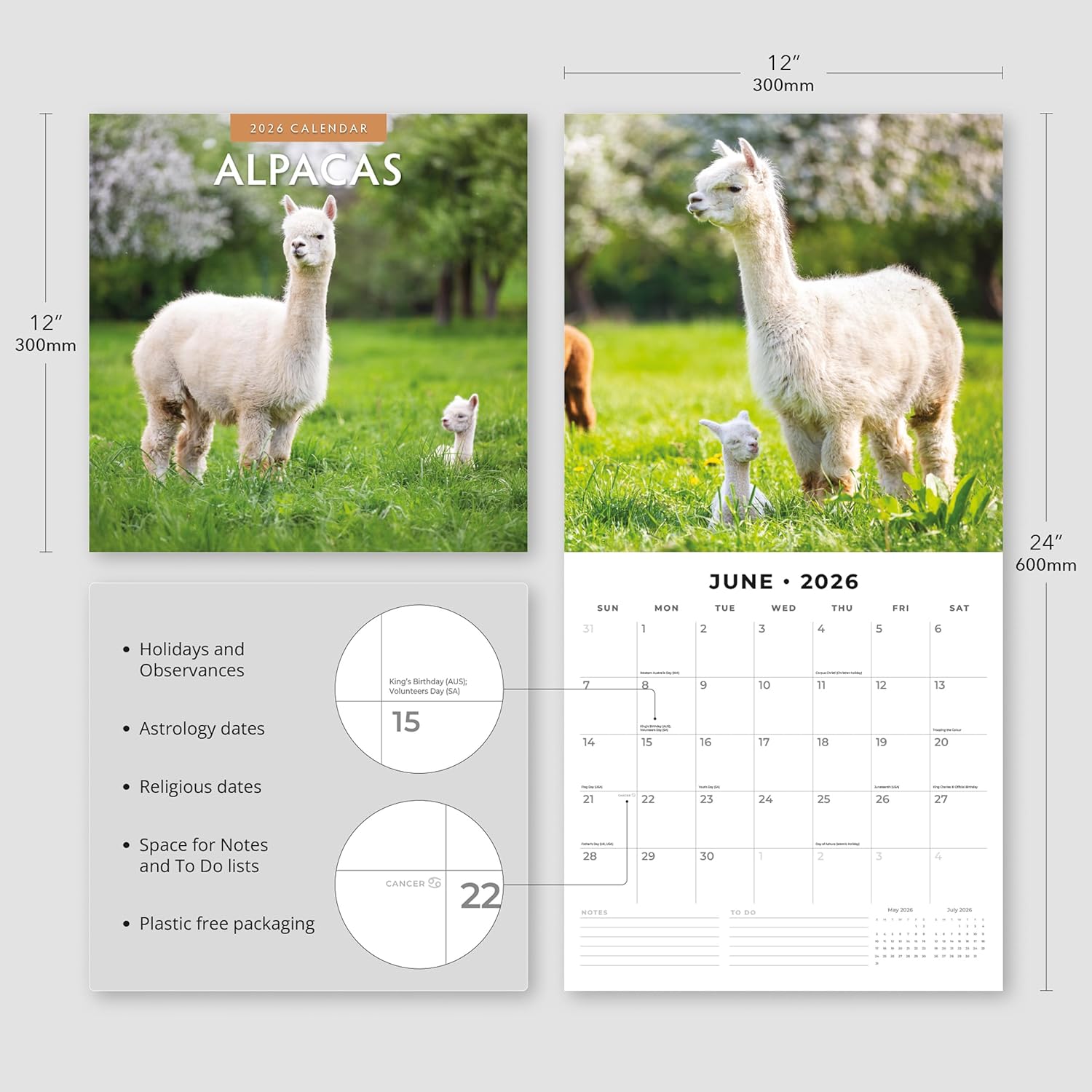 Alpacas - 2026 Square Wall Calendar - by Red Robin Publishing