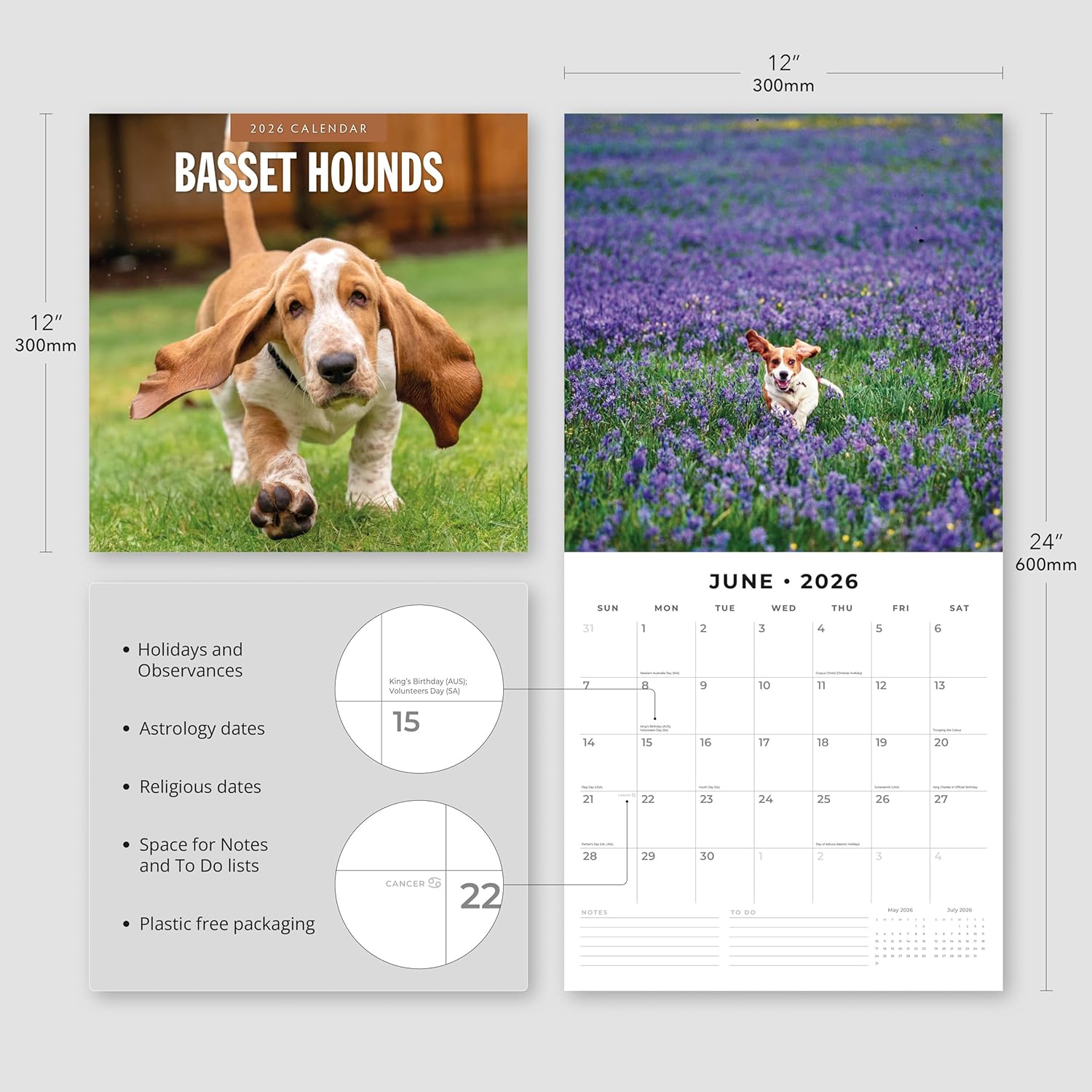 Red Robin 2026 Basset Hounds Monthly Wall Calendar | 12" x 24" Open | Premium Thick & Sturdy Paper | Hangable 12 Month Calendar | Lined Notes & To Do Area | Vivid Images | Plastic Free