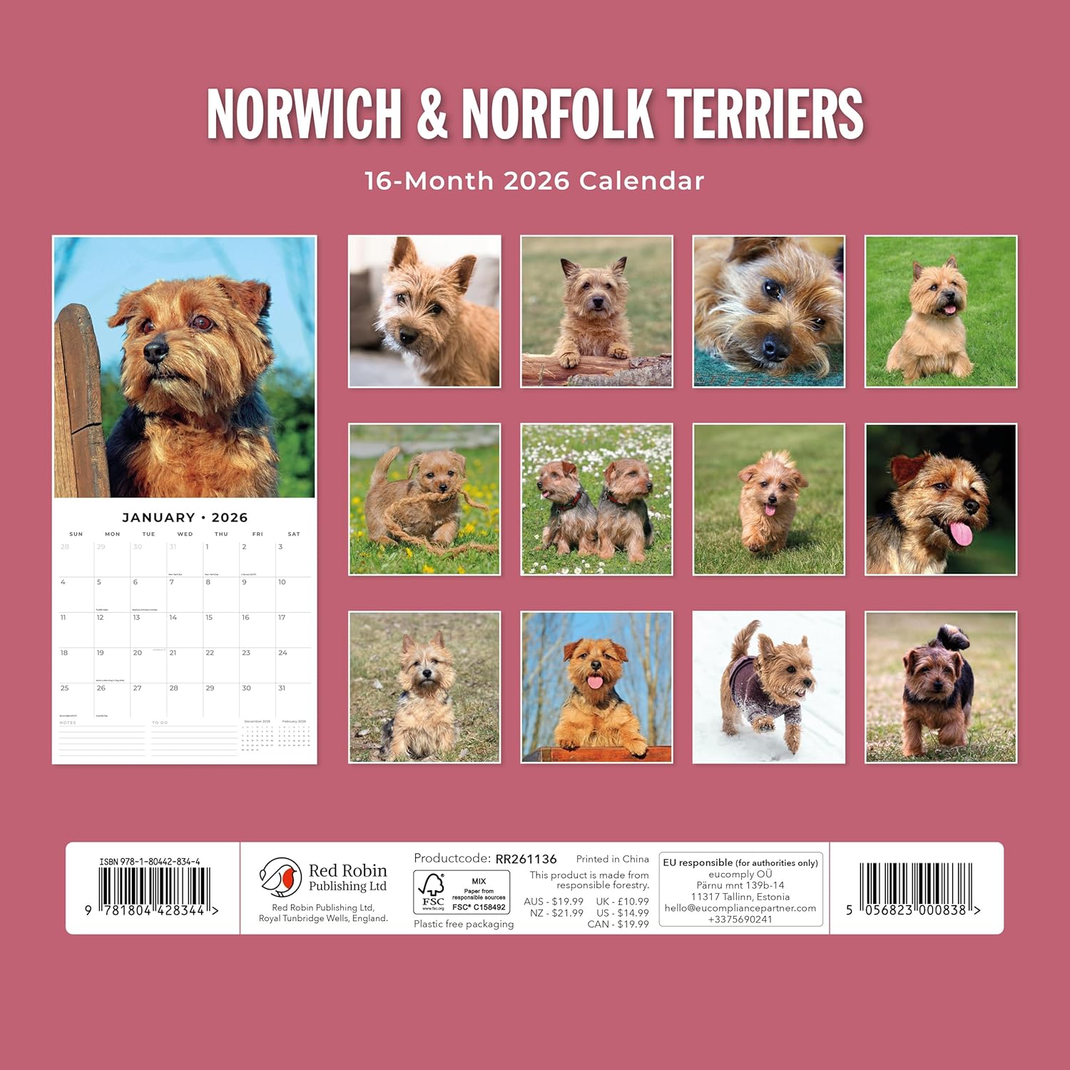 Red Robin 2026 Norwich & Norfolk Terriers Monthly Wall Calendar | 12" x 24" Open | Premium Thick & Sturdy Paper | Hangable 12 Month Calendar | Lined Notes & To Do Area | Vivid Images | Plastic Free