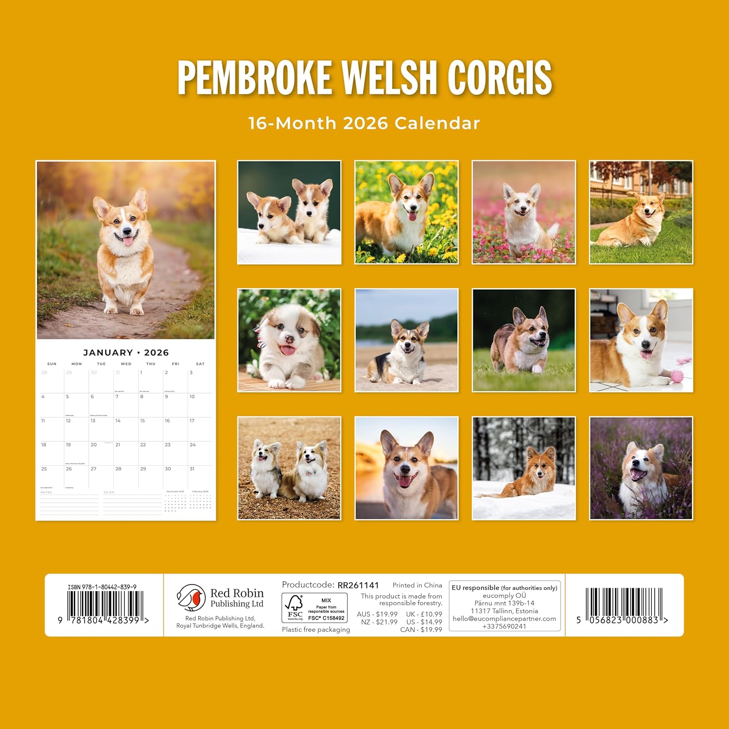 Red Robin 2026 Pembroke Welsh Corgis Monthly Wall Calendar | 12" x 24" Open | Premium Thick & Sturdy Paper | Hangable 12 Month Calendar | Lined Notes & To Do Area | Vivid Images | Plastic Free