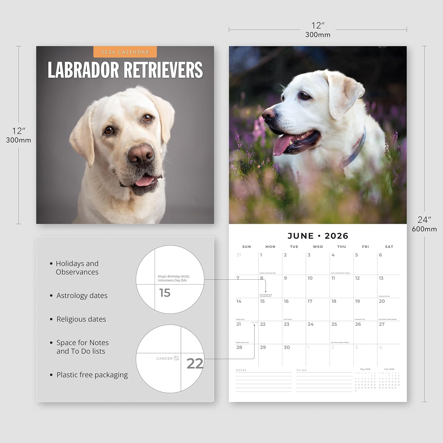 Red Robin 2026 Labrador Retrievers Monthly Wall Calendar | 12" x 24" Open | Premium Thick & Sturdy Paper | Hangable 12 Month Calendar | Lined Notes & To Do Area | Vivid Images | Plastic Free