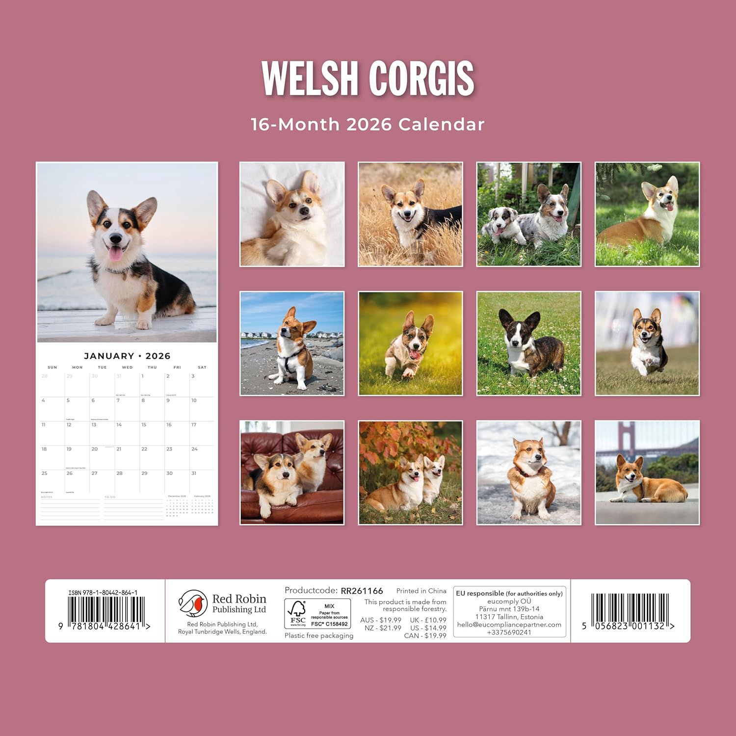 Red Robin 2026 Welsh Corgis Monthly Wall Calendar | 12" x 24" Open | Premium Thick & Sturdy Paper | Hangable 12 Month Calendar | Lined Notes & To Do Area | Vivid Images | Plastic Free