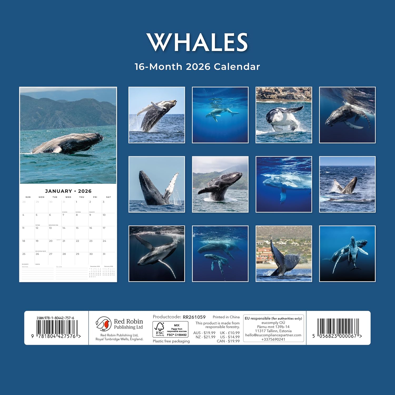 Red Robin 2026 Whales Monthly Wall Calendar | 12" x 24" Open | Premium Thick & Sturdy Paper | Hangable 12 Month Calendar | Lined Notes & To Do Area | Vivid Images | Plastic Free
