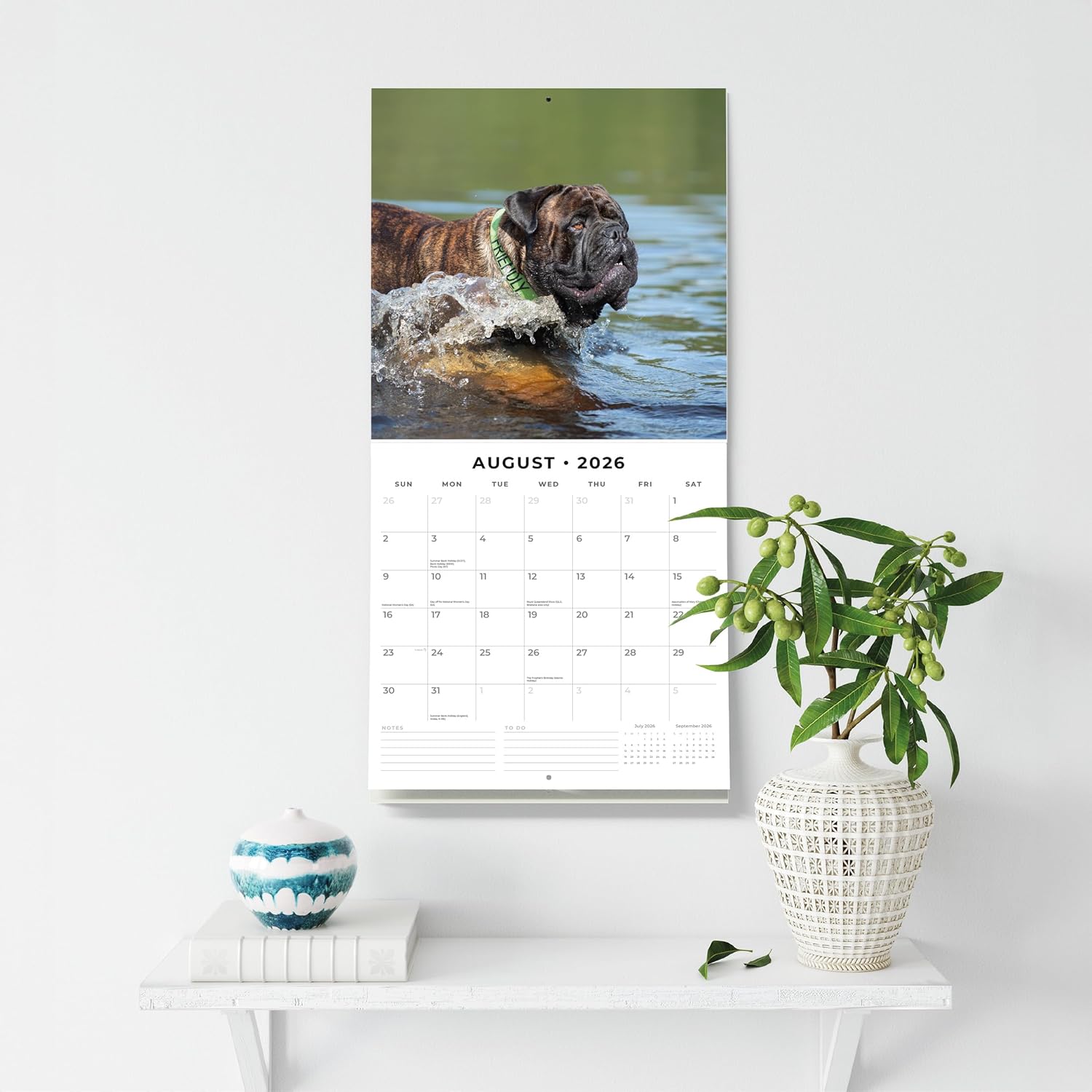 Red Robin 2026 Bullmastiffs Monthly Wall Calendar | 12" x 24" Open | Premium Thick & Sturdy Paper | Hangable 12 Month Calendar | Lined Notes & To Do Area | Vivid Images | Plastic Free