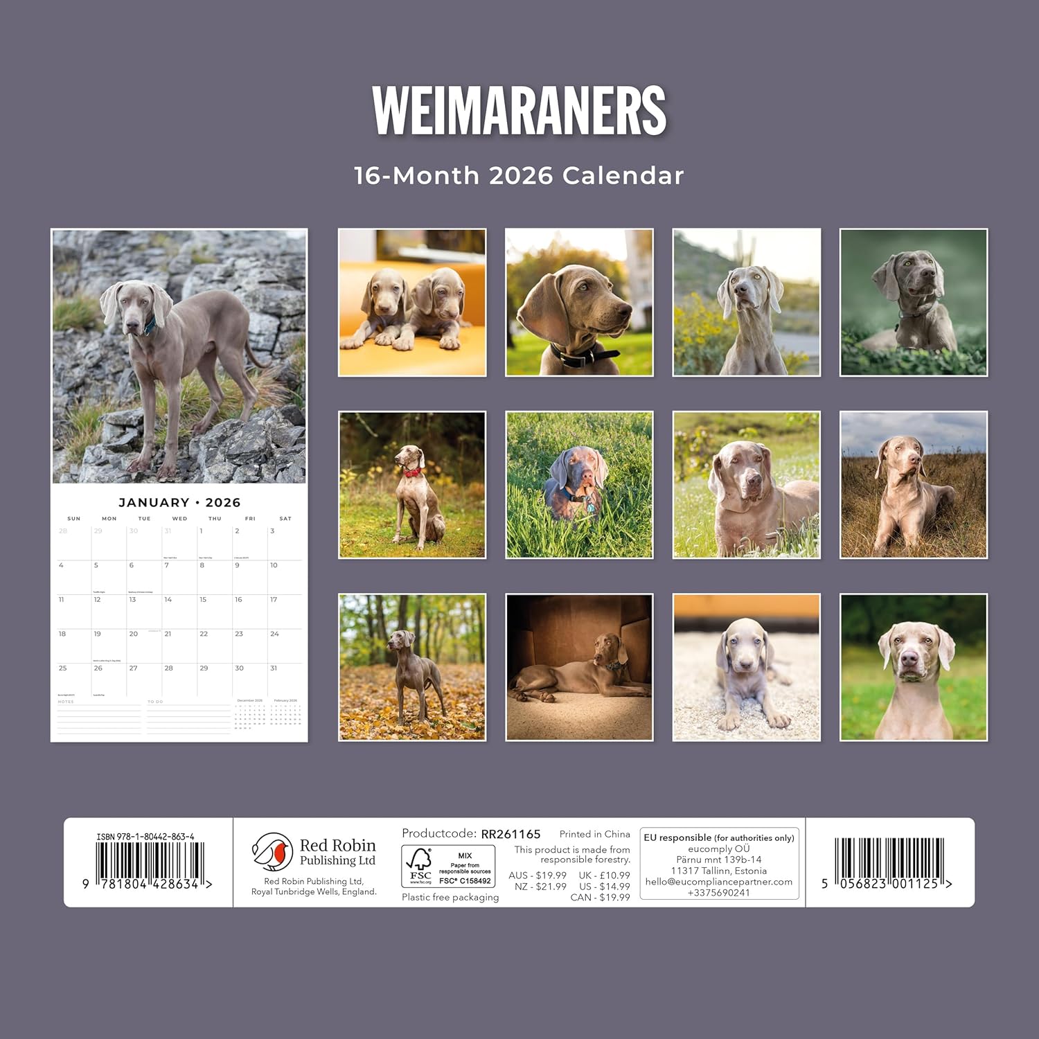 Red Robin 2026 Weimaraners Monthly Wall Calendar | 12" x 24" Open | Premium Thick & Sturdy Paper | Hangable 12 Month Calendar | Lined Notes & To Do Area | Vivid Images | Plastic Free