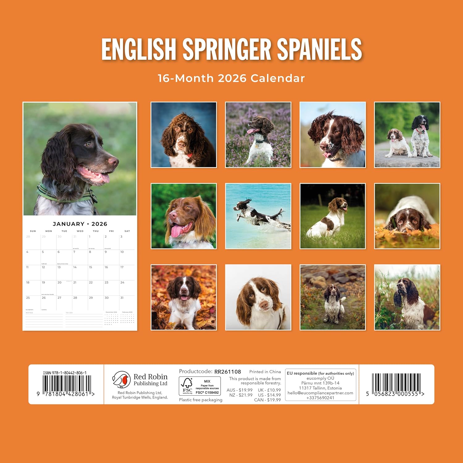 Red Robin 2026 English Springer Spaniels Monthly Wall Calendar | 12" x 24" Open | Premium Thick & Sturdy Paper | Hangable 12 Month Calendar | Lined Notes & To Do Area | Vivid Images | Plastic Free