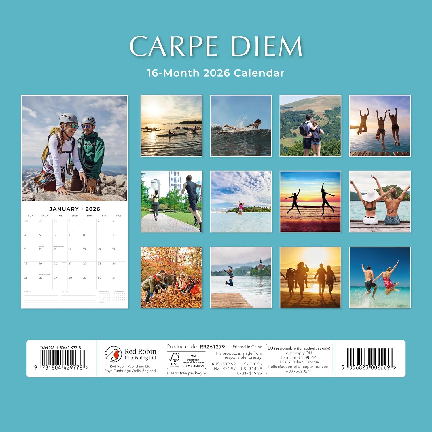 Red Robin 2026 Carpe Diem Monthly Wall Calendar | 12" x 24" Open | Premium Thick & Sturdy Paper | Hangable 12 Month Calendar | Lined Notes & To Do Area | Vivid Images | Plastic Free