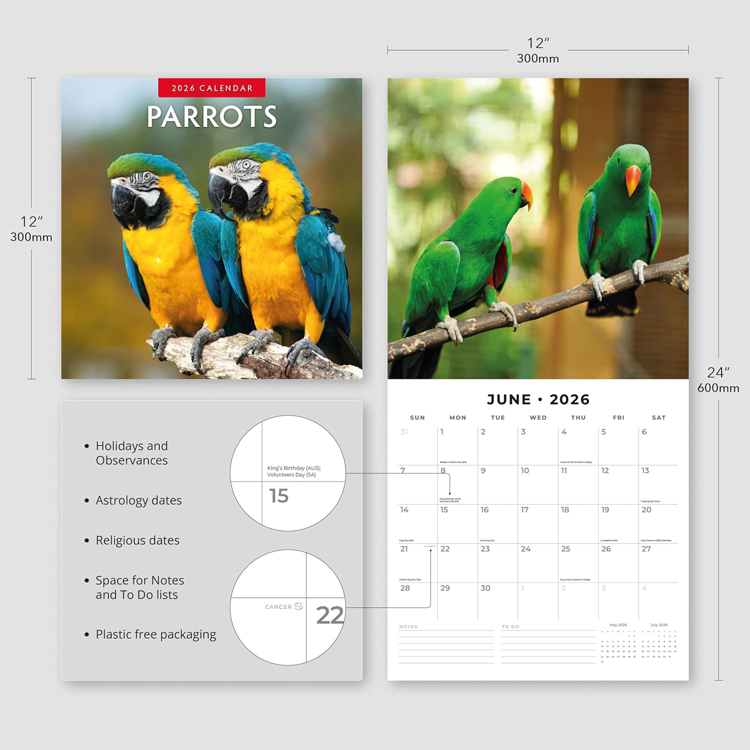 Red Robin 2026 Parrots Monthly Wall Calendar | 12" x 24" Open | Premium Thick & Sturdy Paper | Hangable 12 Month Calendar | Lined Notes & To Do Area | Vivid Images | Plastic Free